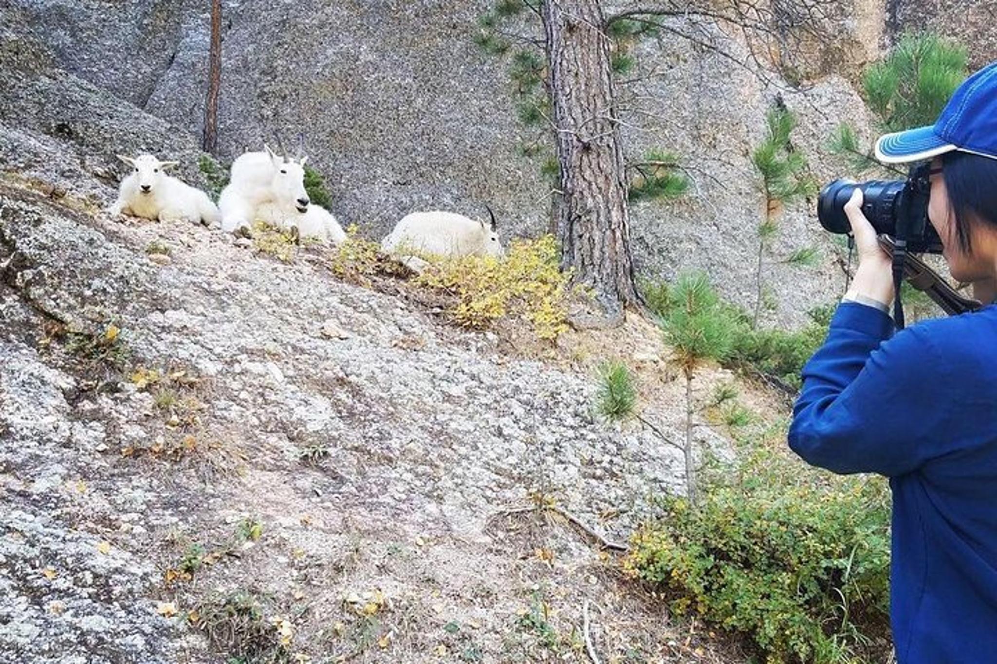 Rapid City Private Black Hills Tour - Image 4