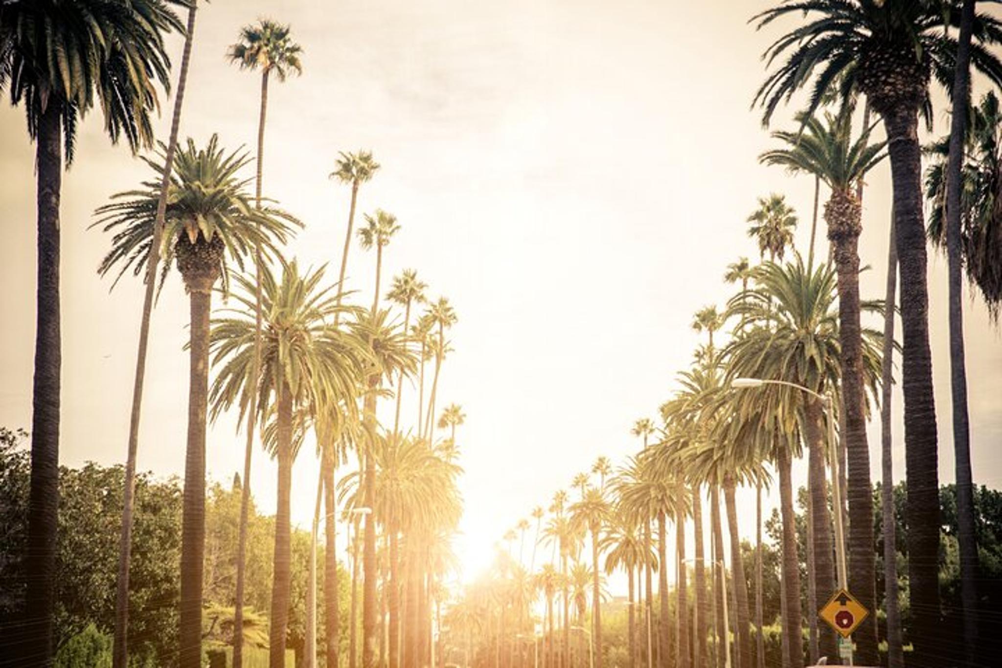 Los Angeles Private Tour in a Luxury Vehicle - Image 3
