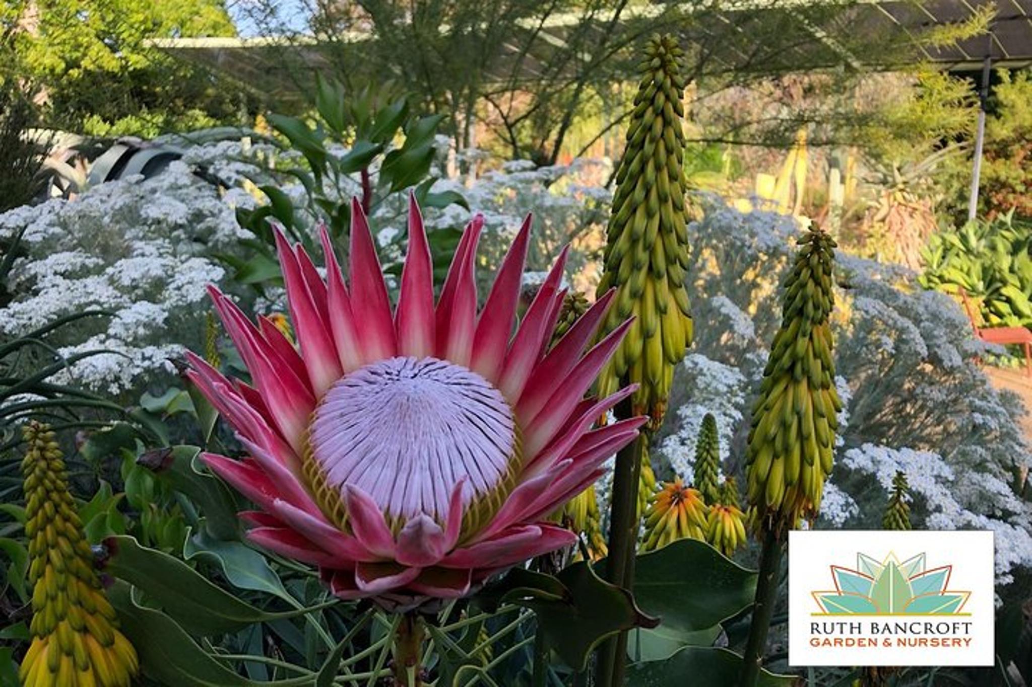 Walnut Creek Botanical Garden Admission - Image 5