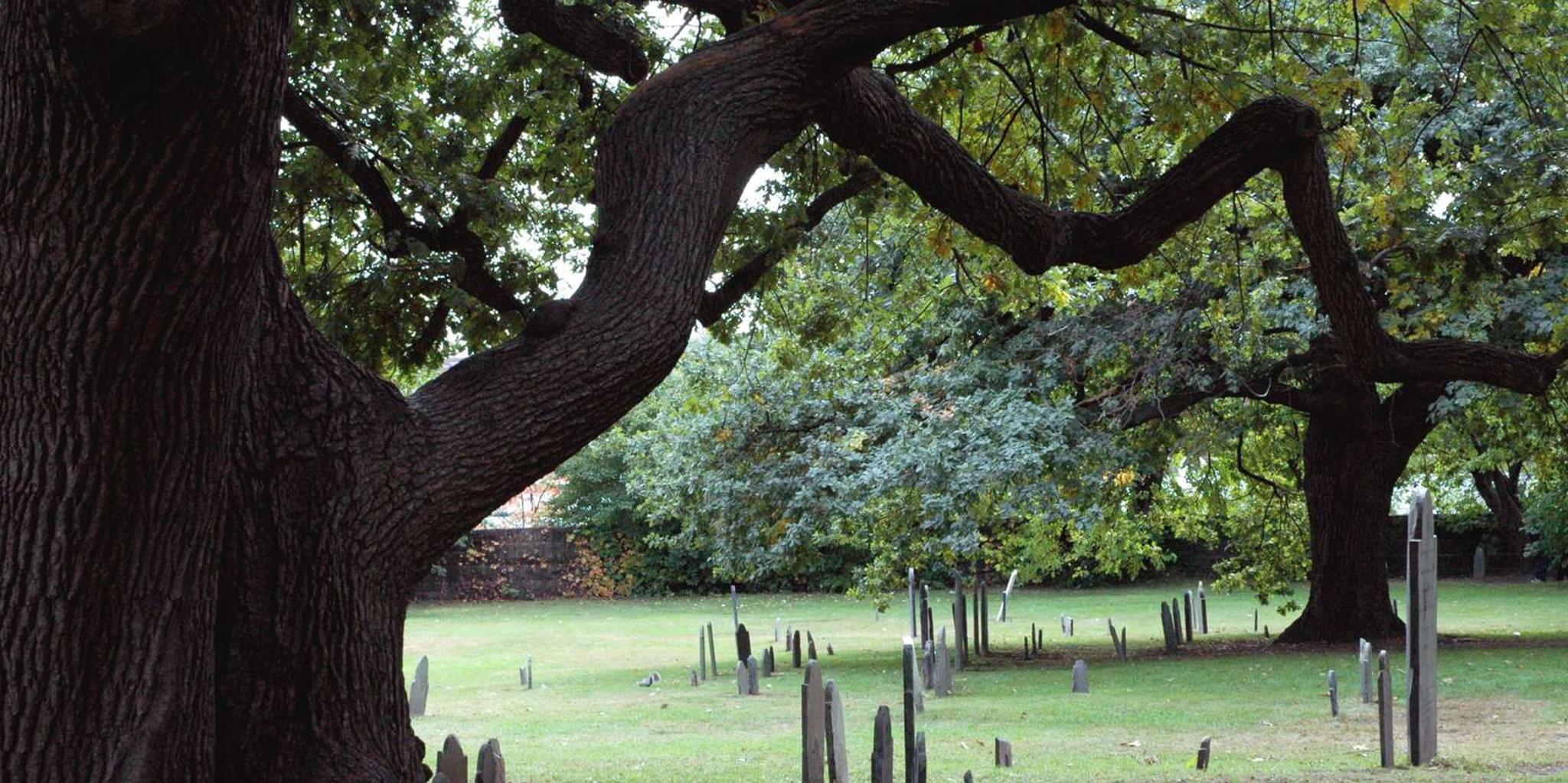 Salem Walking Ghost Tour - Image 4