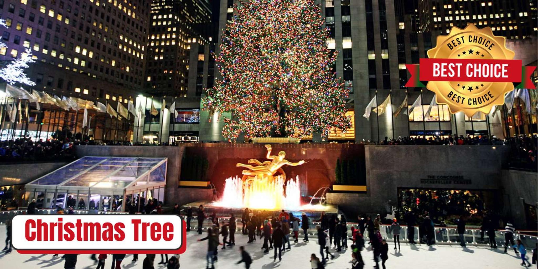 New York Rockefeller Center Christmas Tree Pedicab Tour