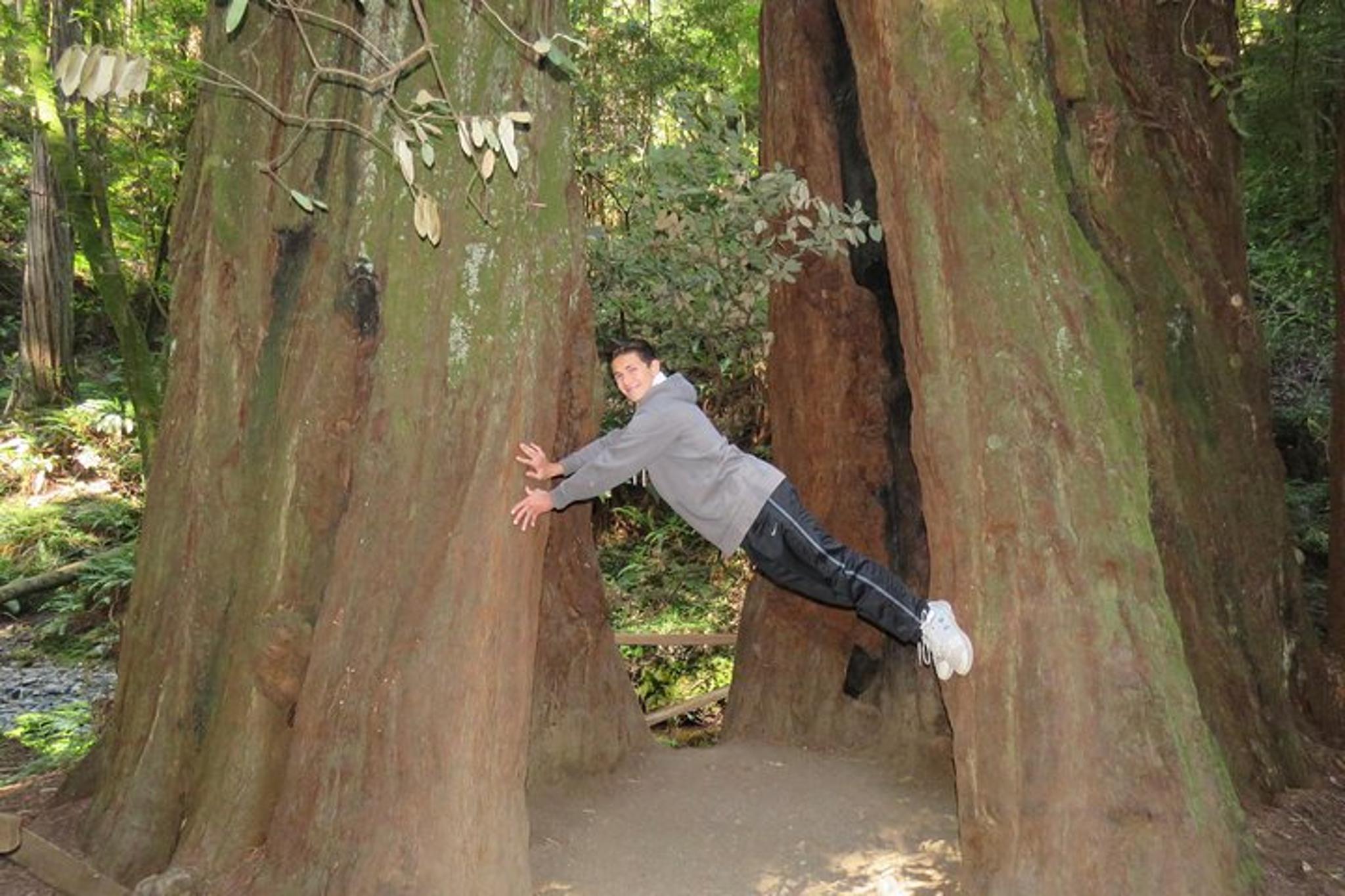 San Francisco Point Reyes and Muir Woods Tour - Image 3