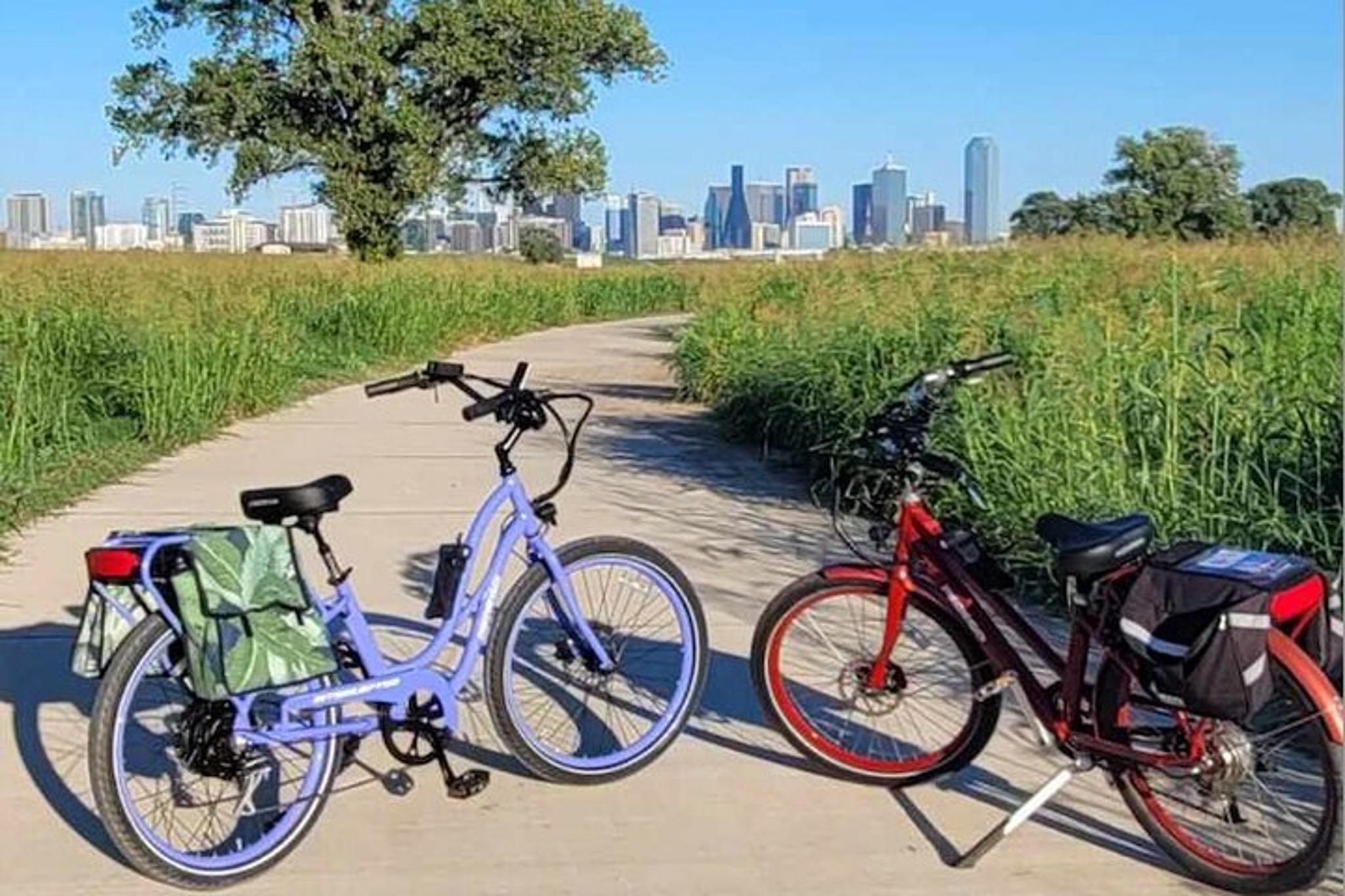 Dallas Electric Bike Rental - Image 3