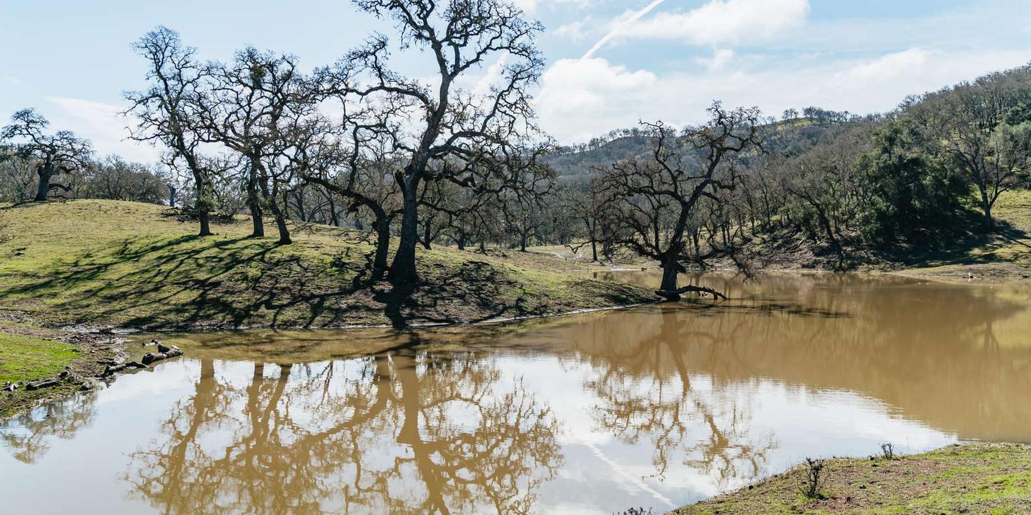 San Luis Obispo Santa Lucia Nature Tour