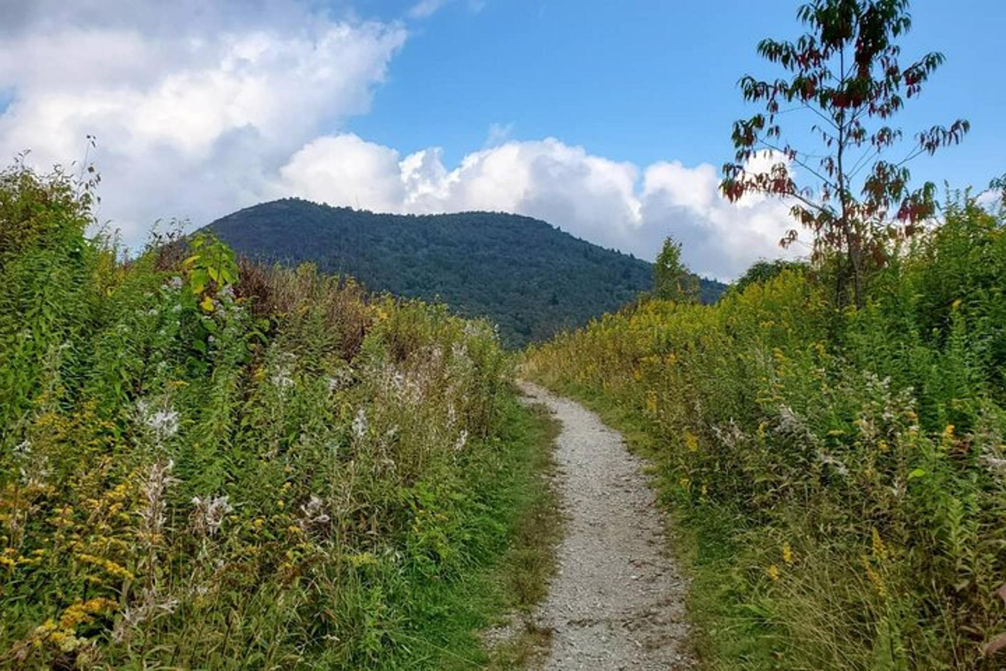 Asheville Guided Half Day Hike - Image 5
