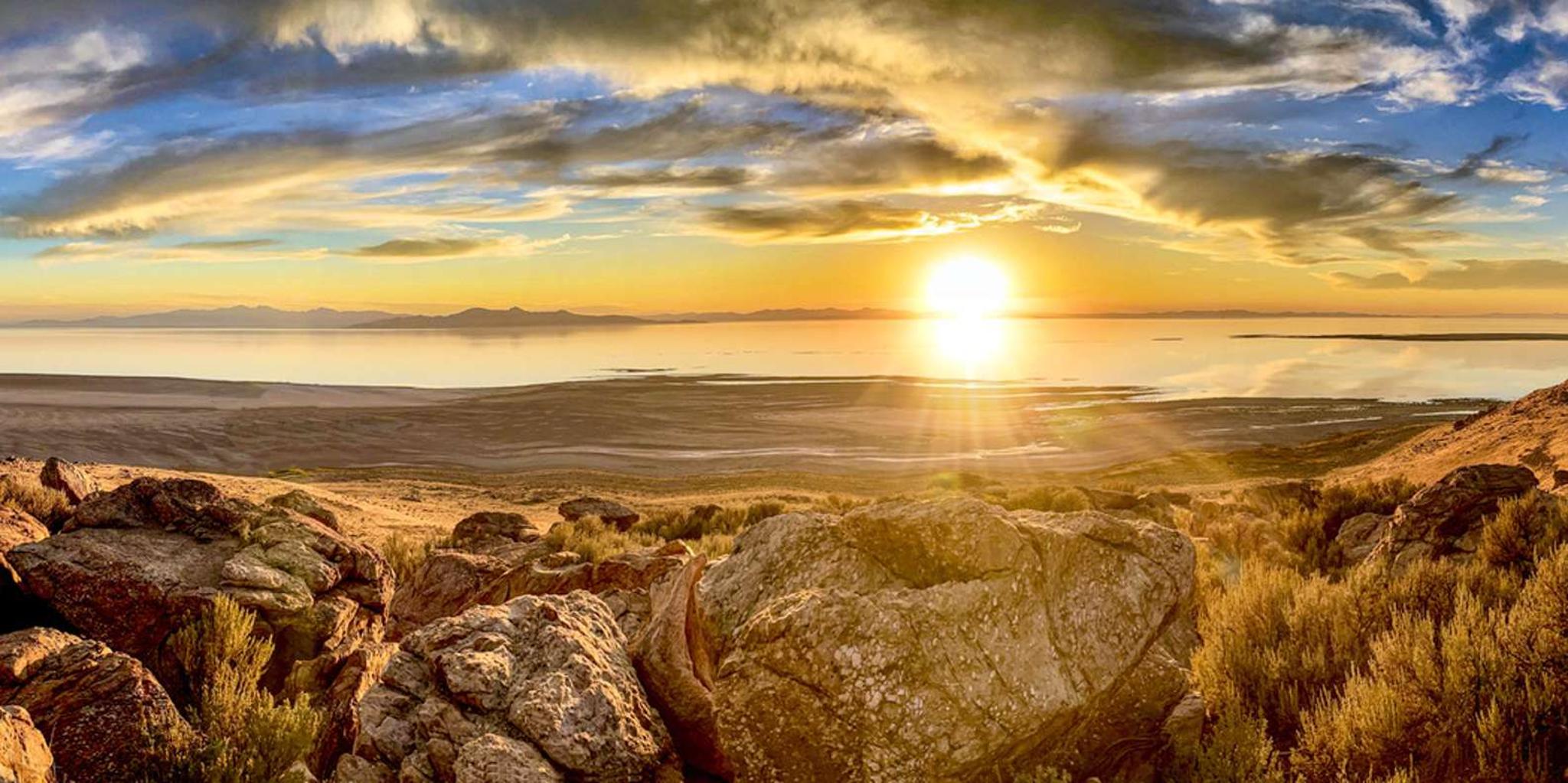 Salt Lake City Great Salt Lake Wildlife Tour at Sunset