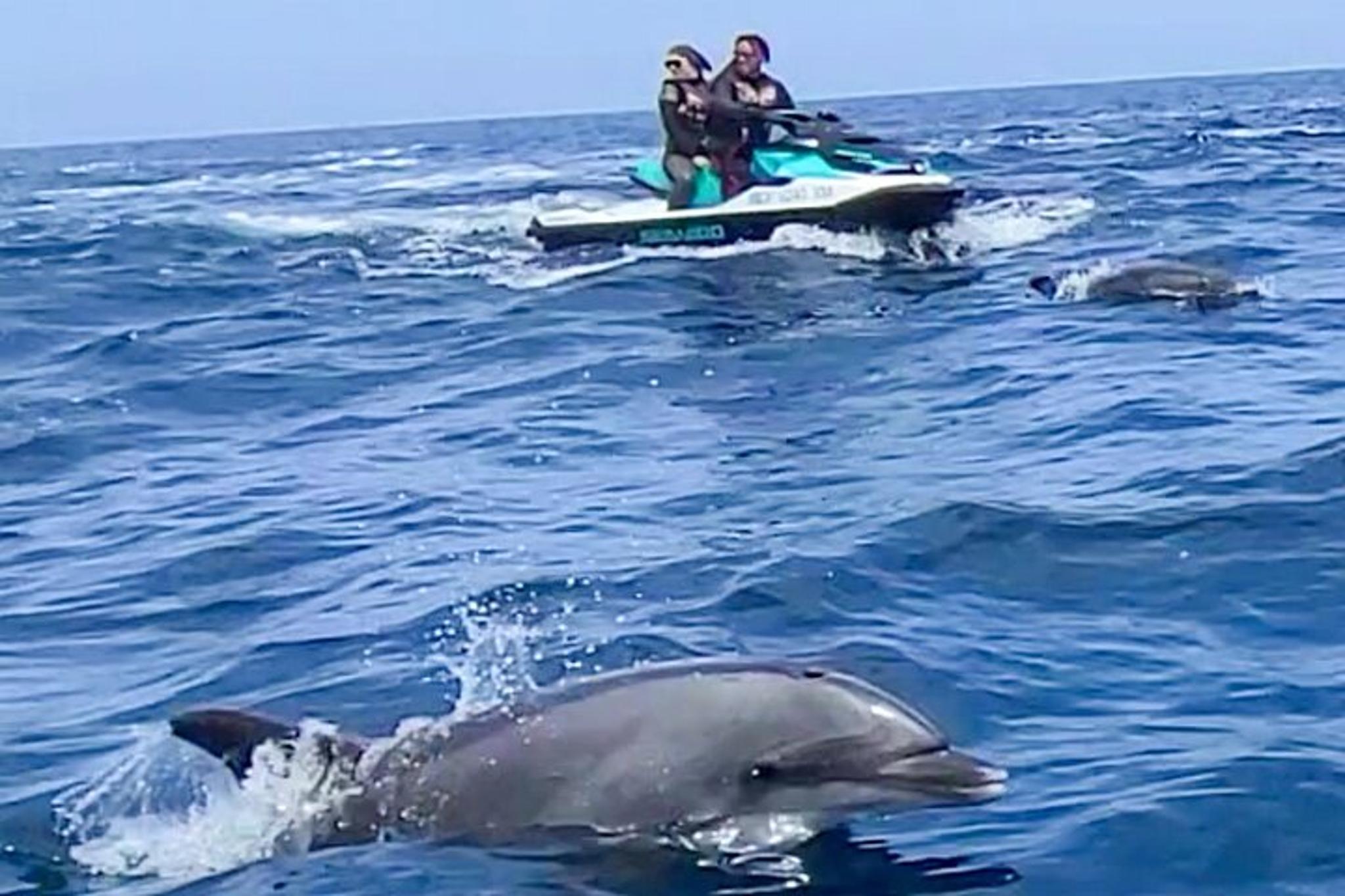 Long Beach Jetski Coastal Tour 2 hr - Image 2