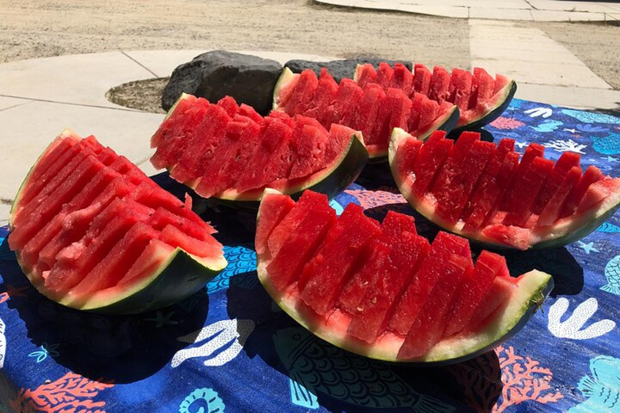 Santa Fe Rio Chama Rafting Adventure - Image 4