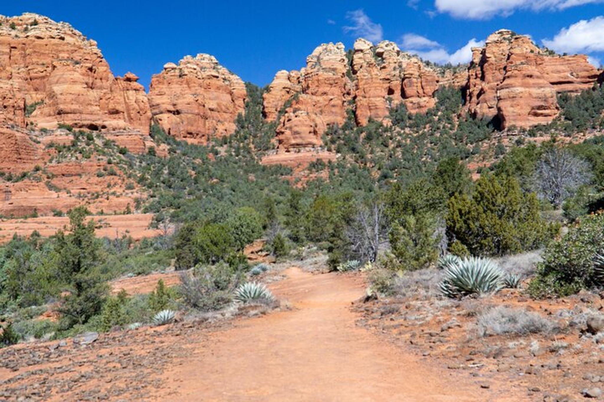 Sedona Hike and Sights Tour from Scottsdale - Image 4