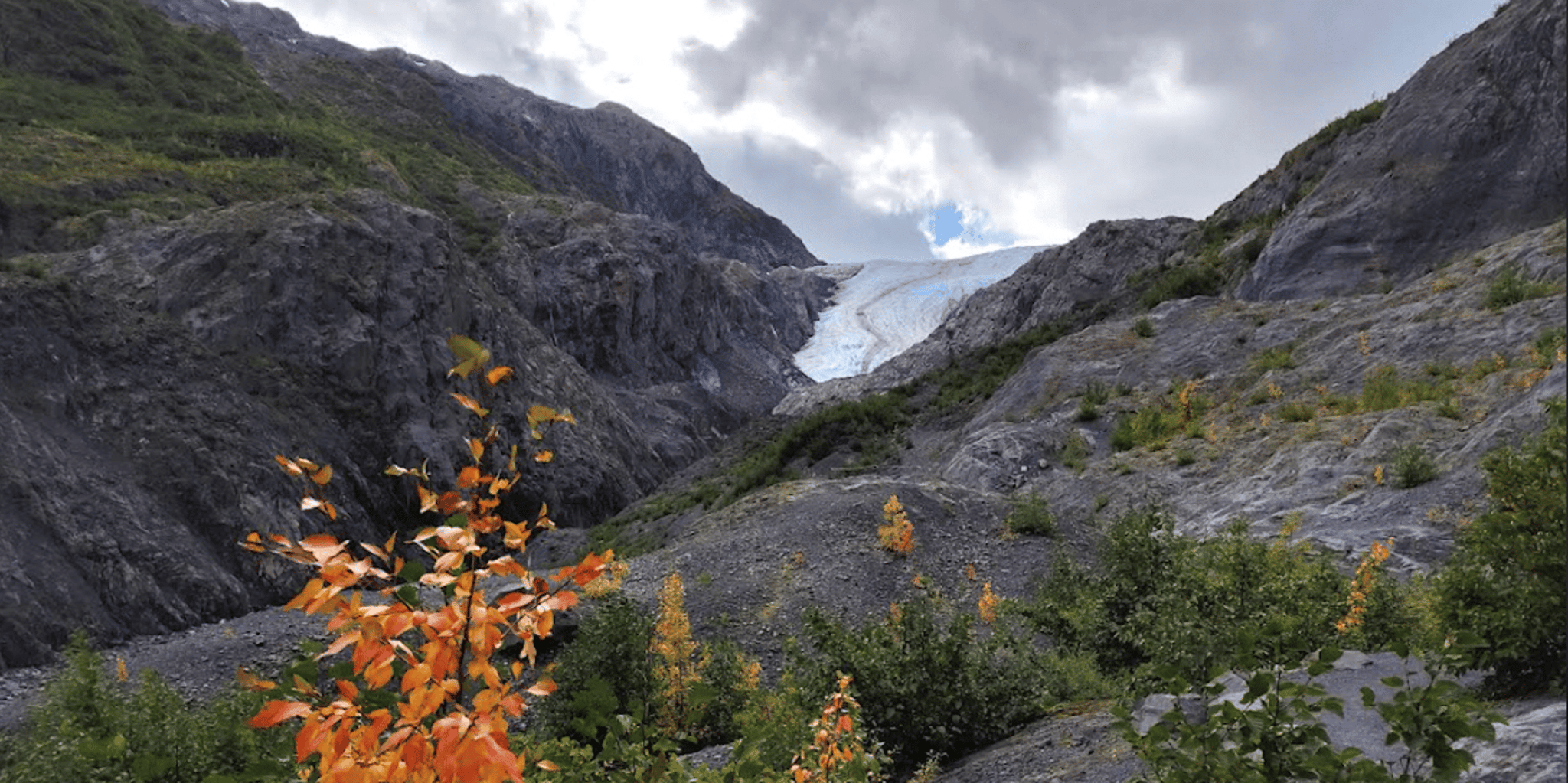 Seward Exit Glacier Nature Hike 2.5 hr - Image 2