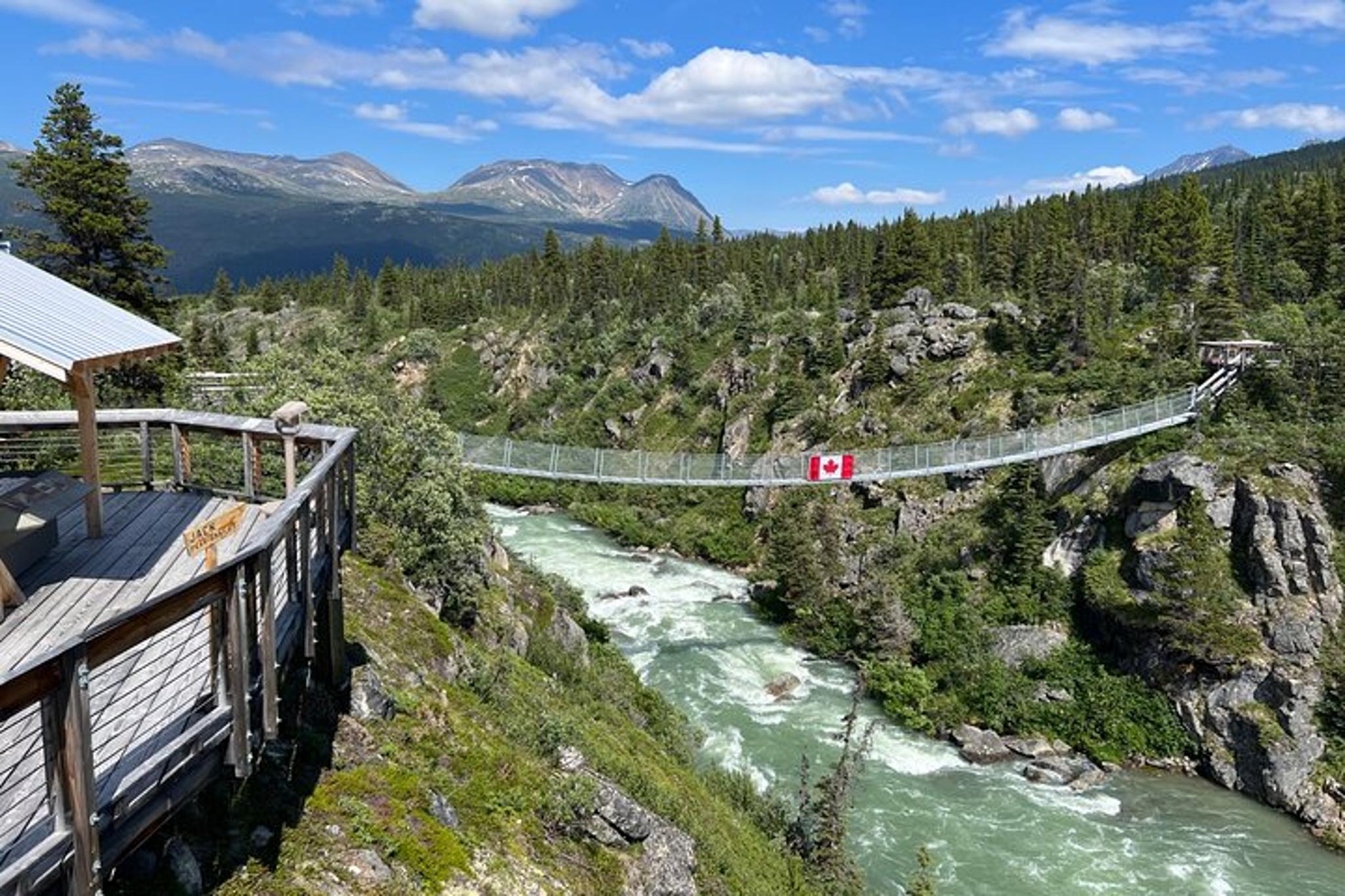Skagway Suspension Bridge Tour - Image 3