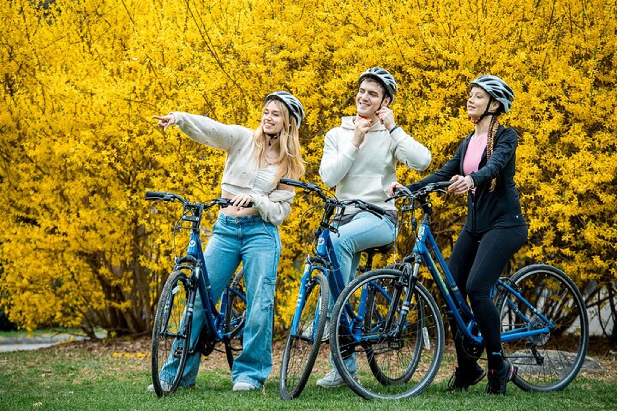 New York City Central Park Bike Rentals - Image 2