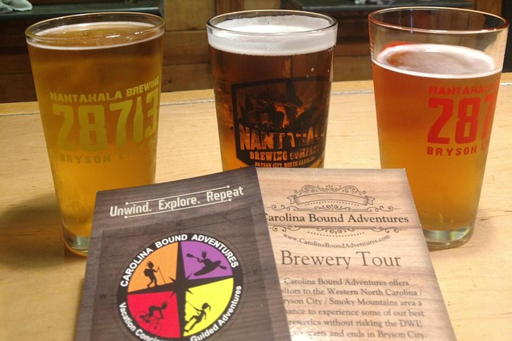 Bryson City Waterfalls and Breweries Tour - Image 5