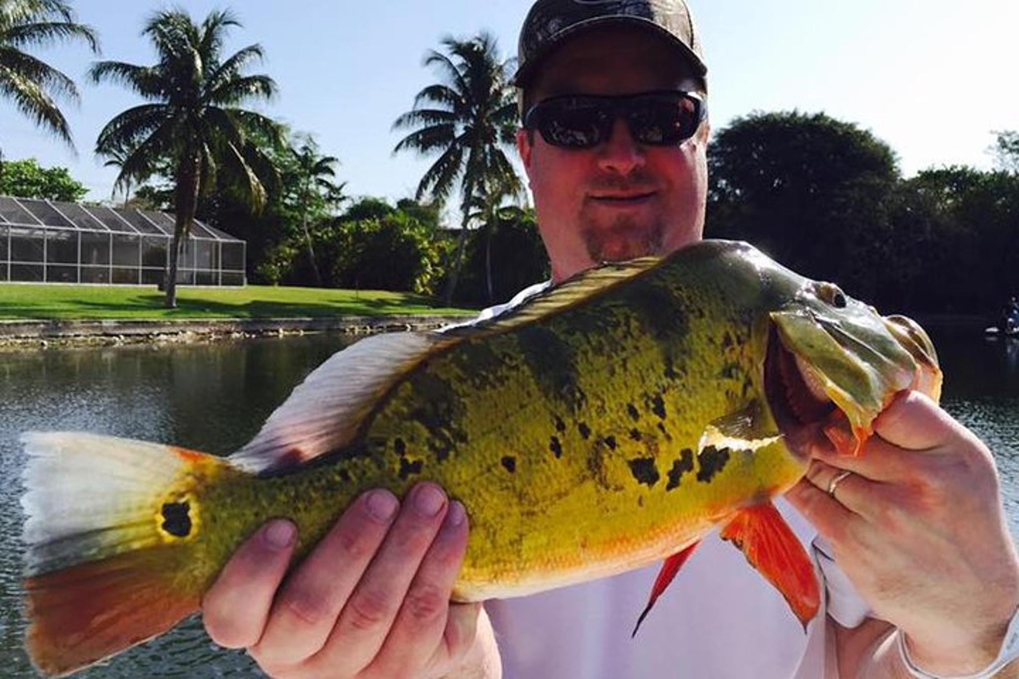 Boca Raton Peacock Bass Fishing Tour - Image 5