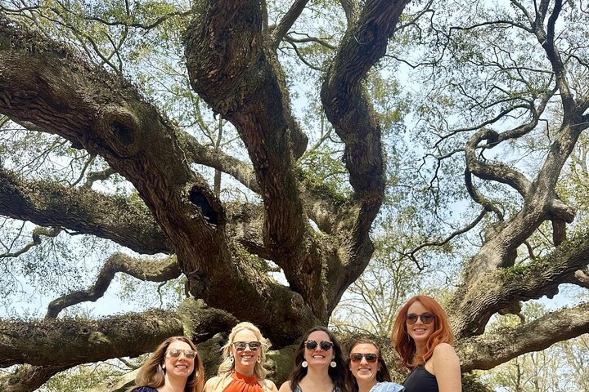 Charleston Tea Plantation and Winery Tour - Image 3