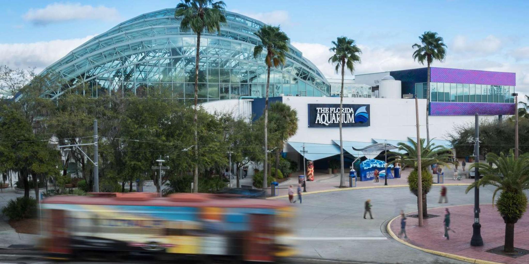 Tampa Florida Aquarium General Admission - Image 4