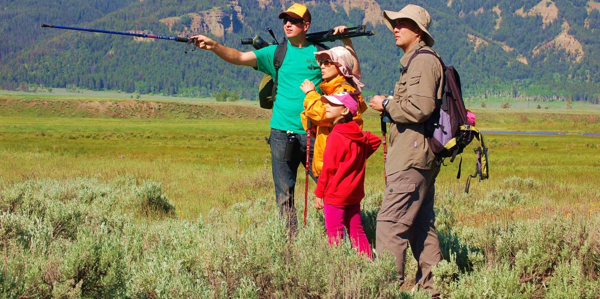 Yellowstone Lamar Valley Safari Hiking Tour