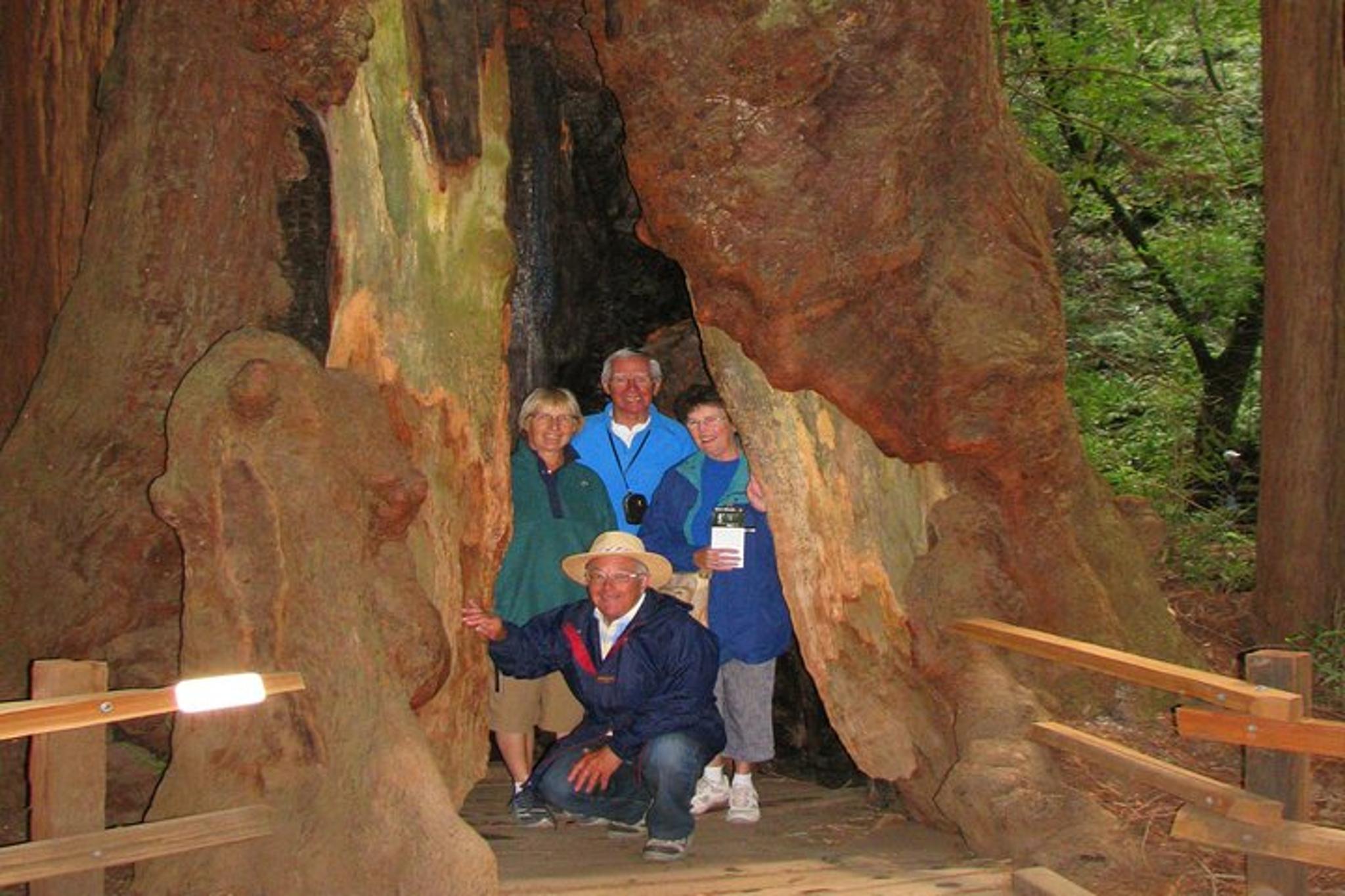 San Francisco Muir Woods Private Tour 4 hr - Image 5