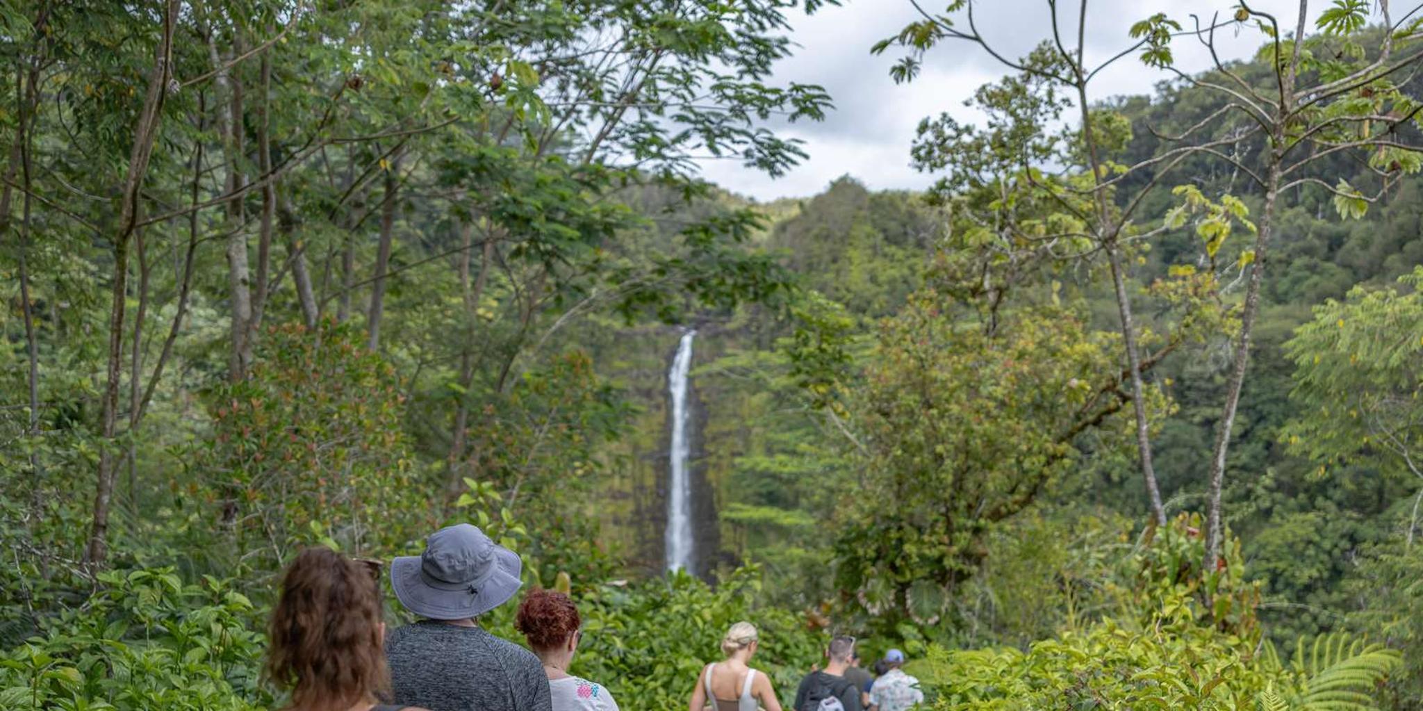 Hilo Botanical Gardens and Waterfalls Tour - Image 3