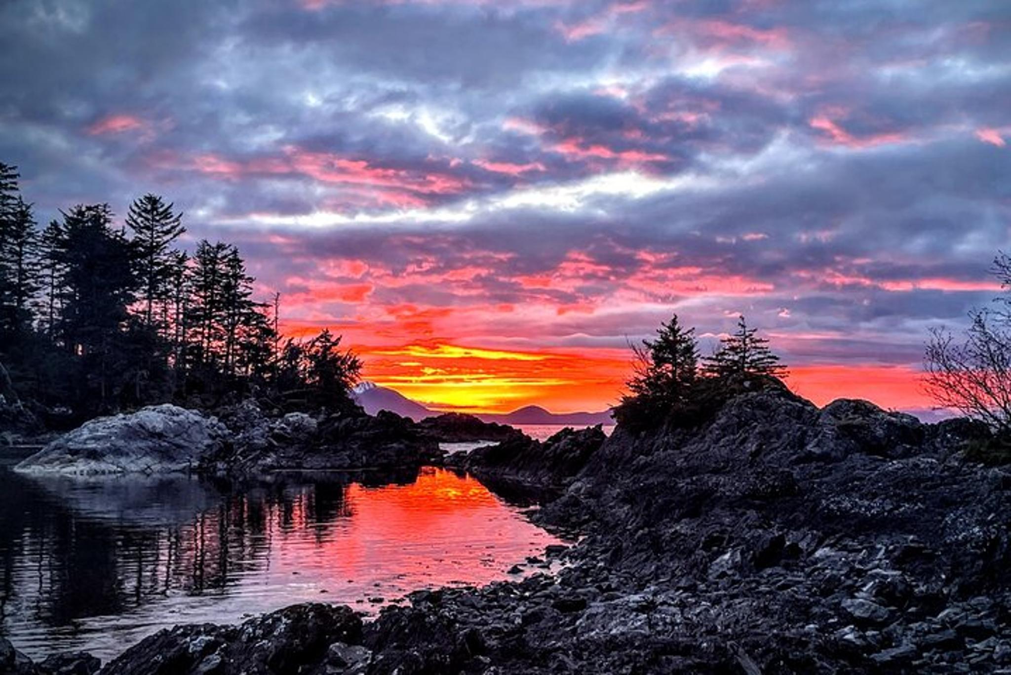 Sitka Private Island Experience - Image 3