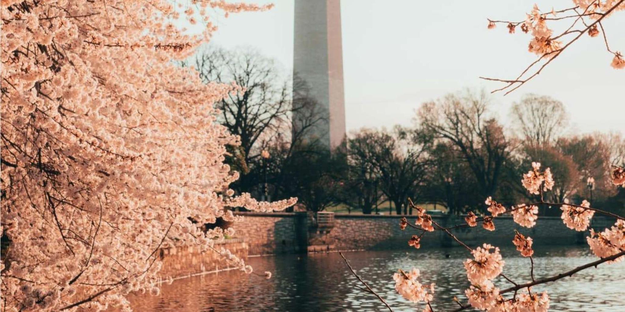 Washington DC Day Trip from New York - Image 6