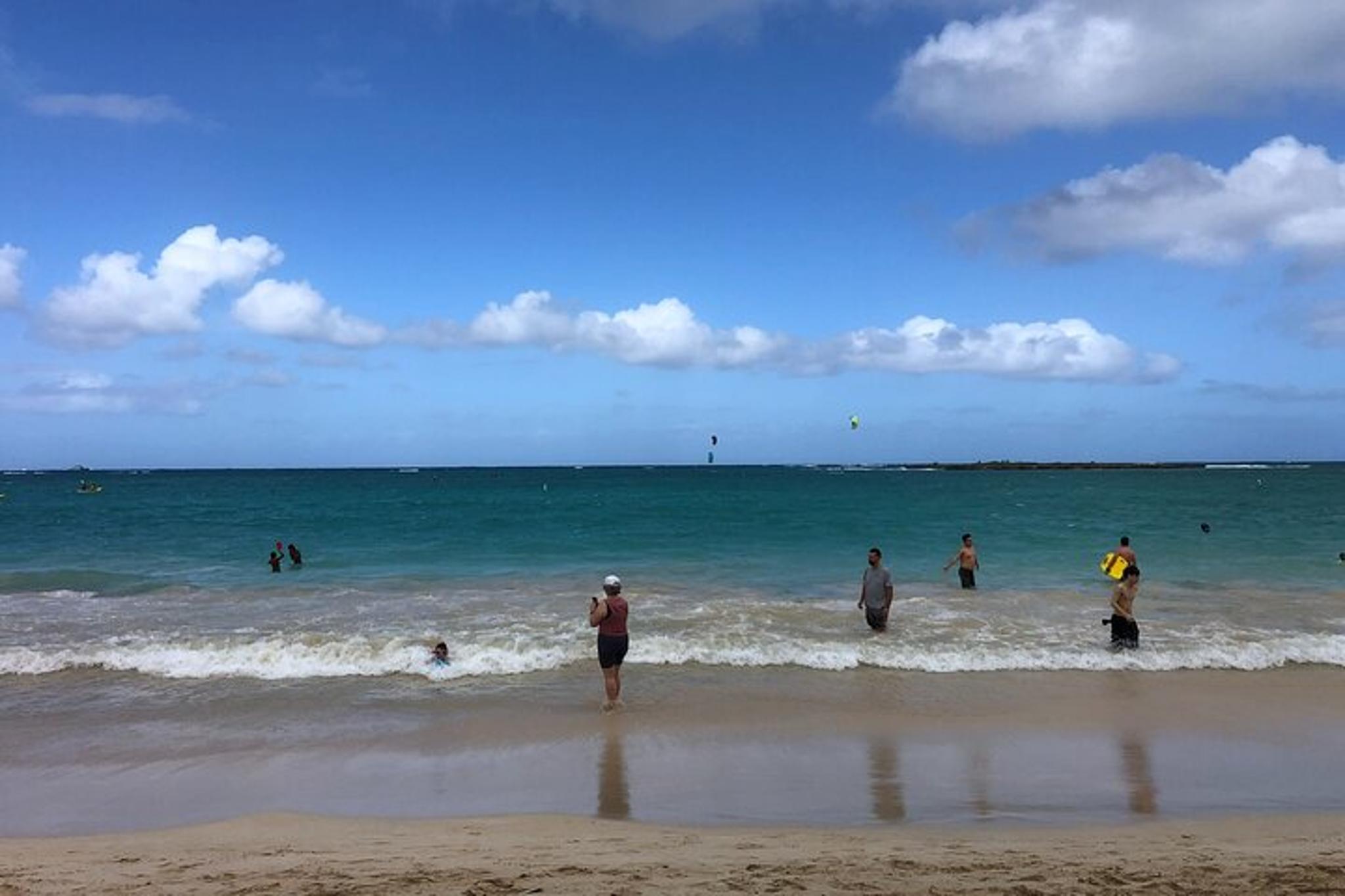 Oahu North Shore Tour with Waimea Falls Swim - Image 4