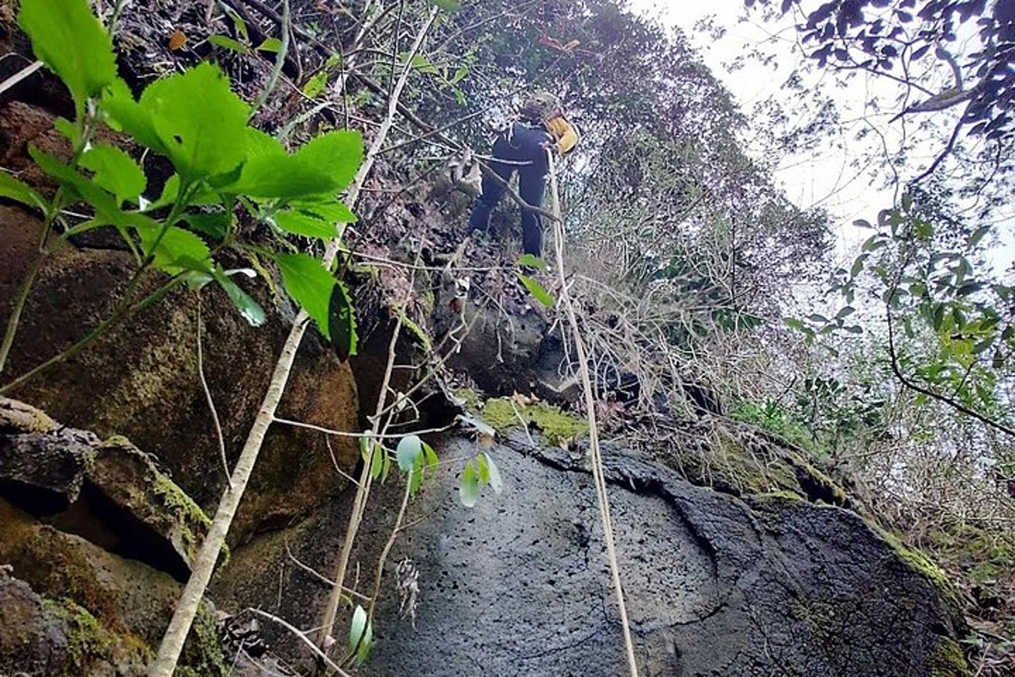 Kauai Jungle Waterfall Adventure - Image 4