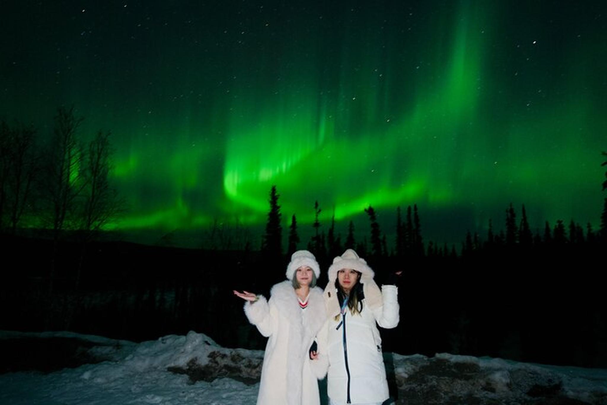 Fairbanks Aurora Chasing Tour - Image 5