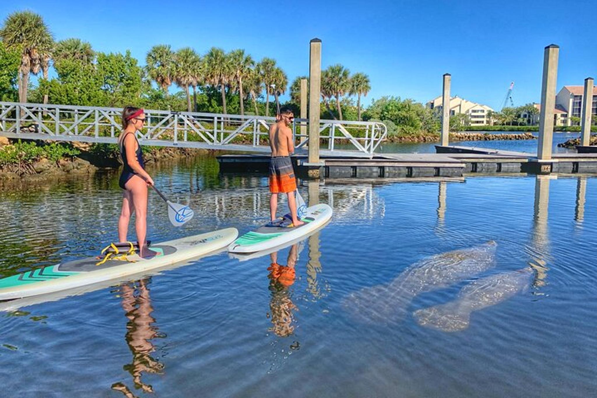 Jupiter Paddle Boarding Eco Adventure - Image 3
