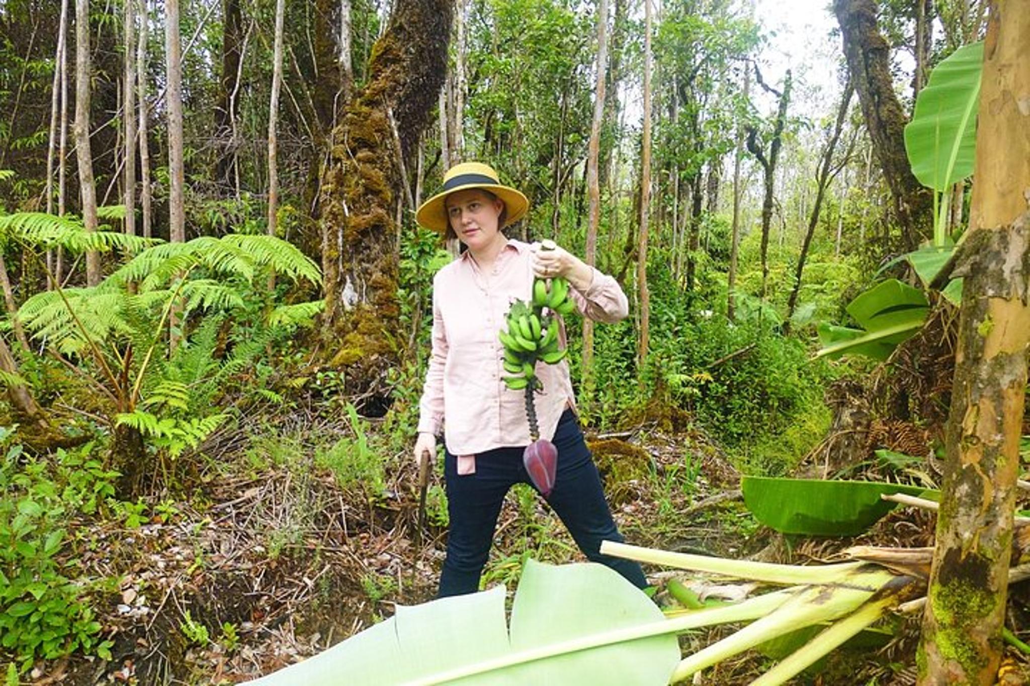 Fern Forest Banana Cultivation Experience - Image 6