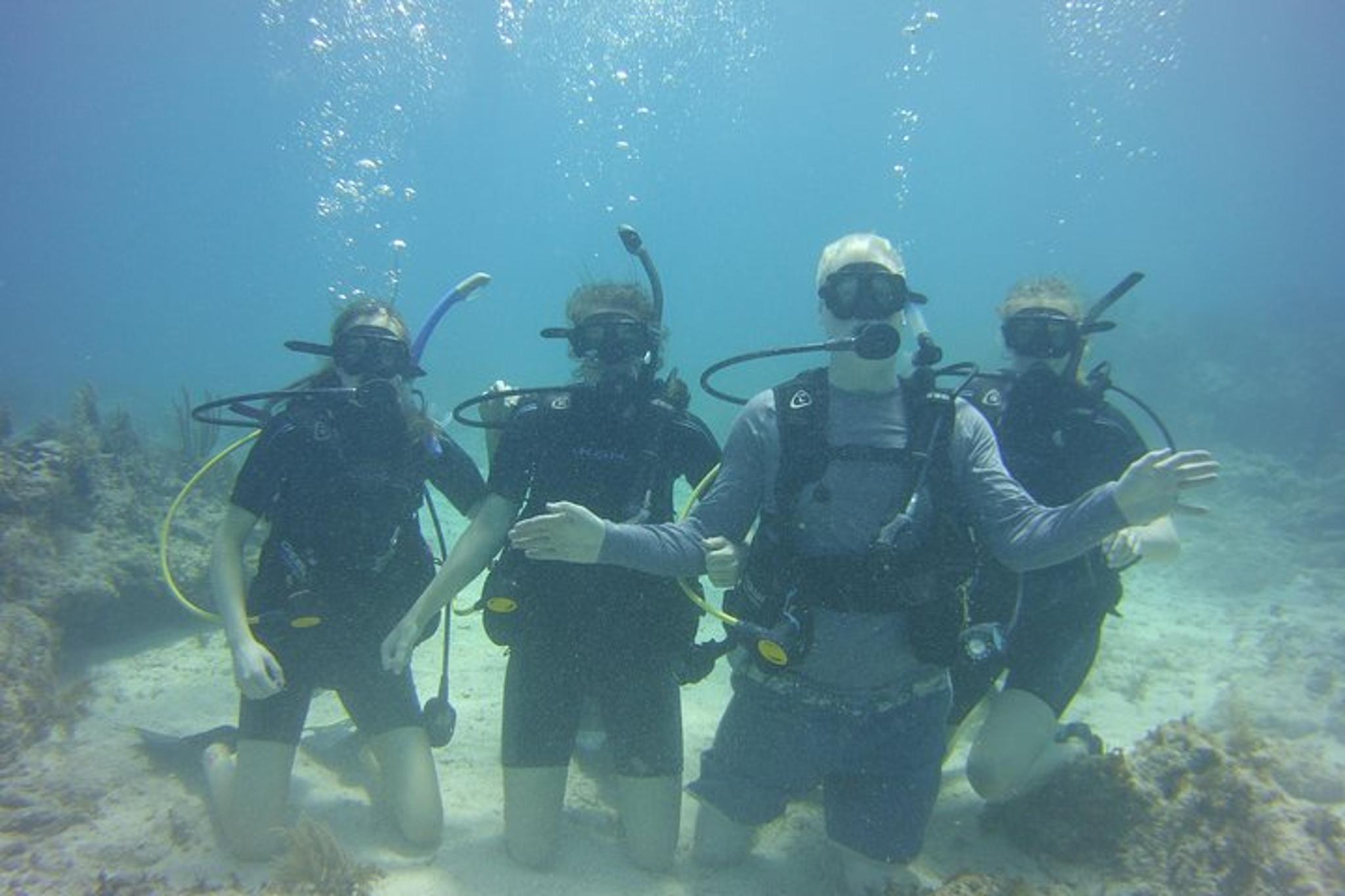 Key Largo SCUBA Dive Reef Experience - Image 4