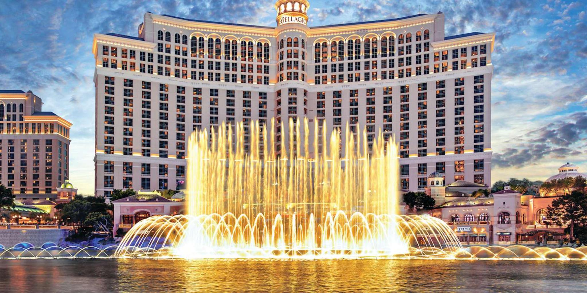 Las Vegas Animal Mummies Exhibition - Image 4