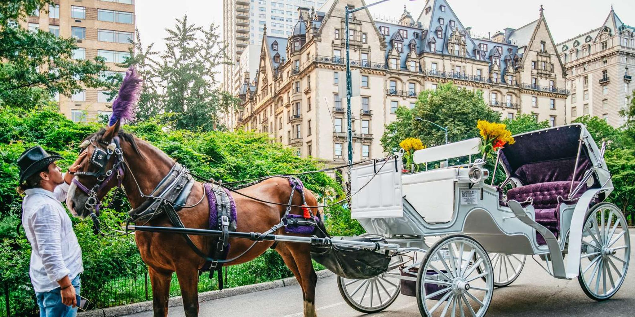 New York Central Park Horse Carriage Ride - Image 2