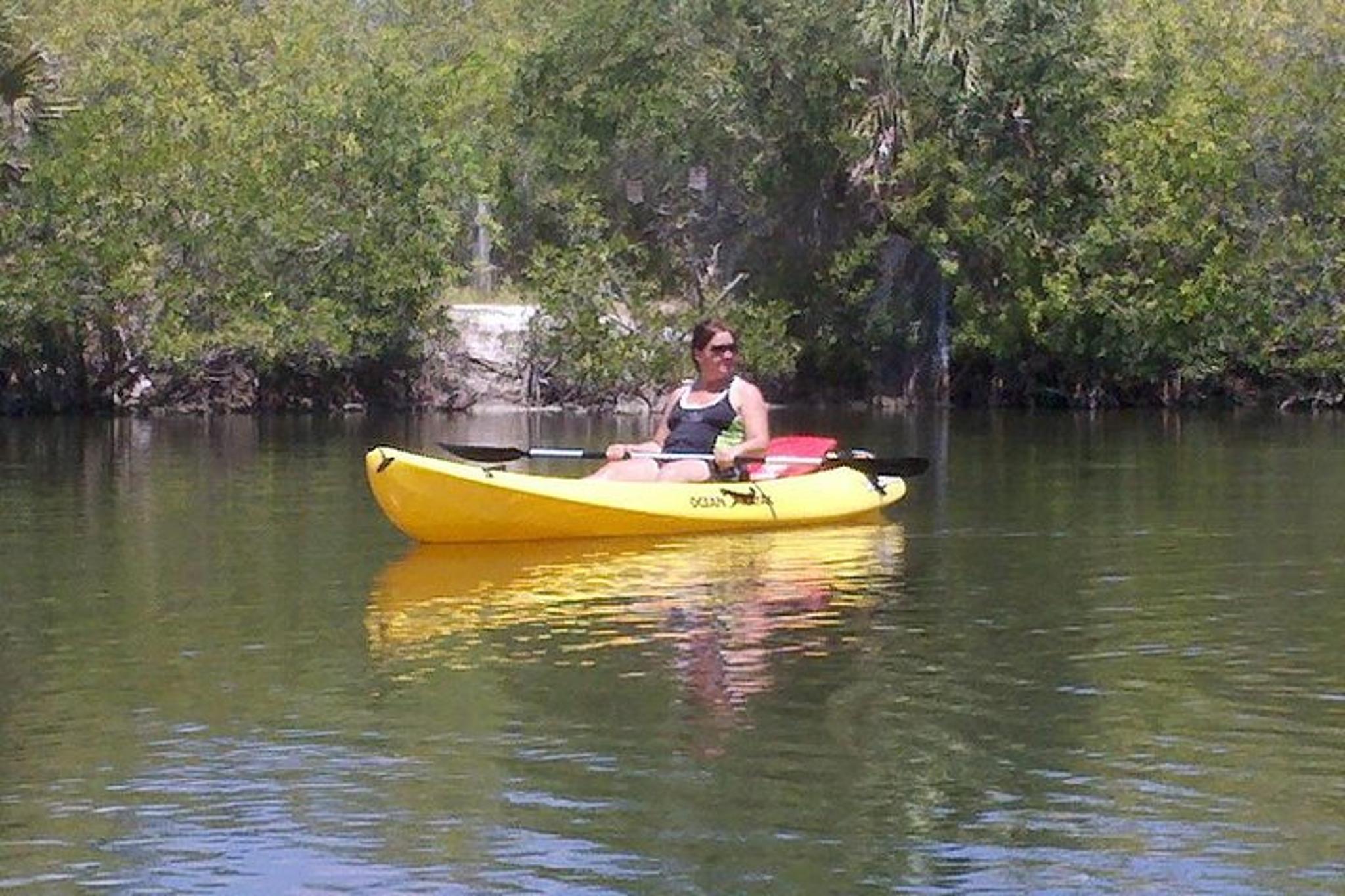 Indian River Kayak Rental with Manatee & Dolphin Sightings 2 hr