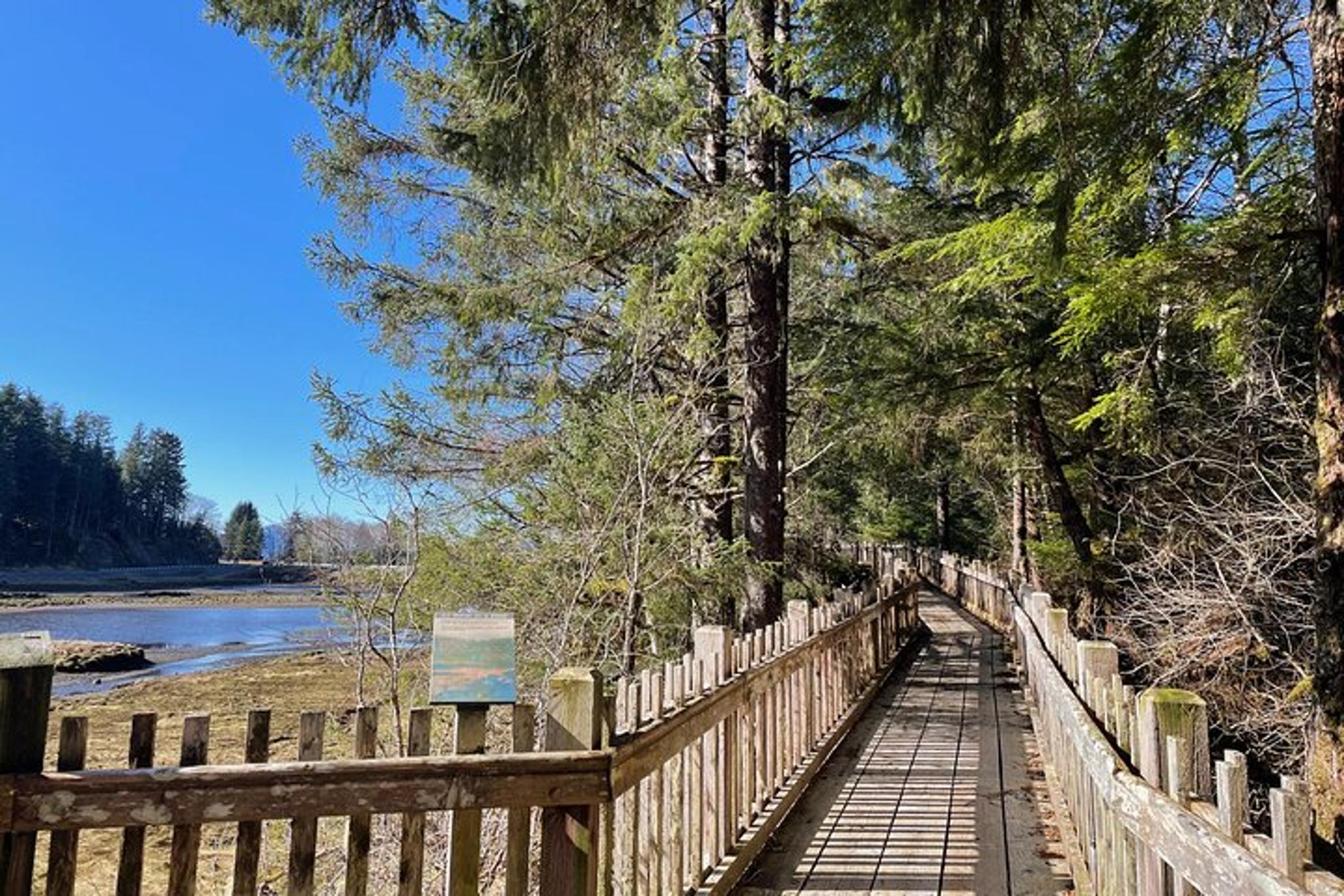 Sitka Nature Walk in Tongass National Forest - Image 4