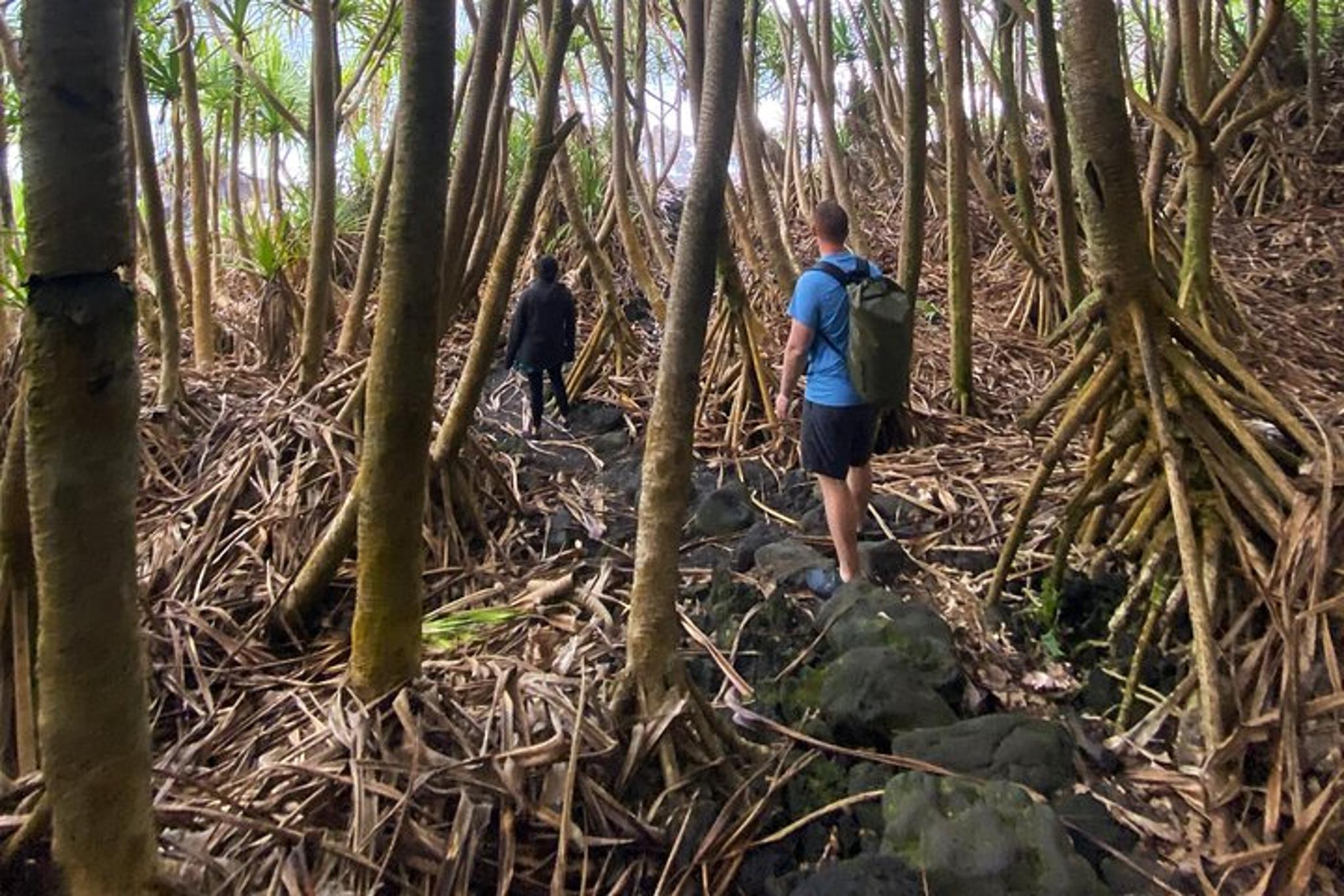 Big Island Tide Pool Hike and Jungle Adventure - Image 4