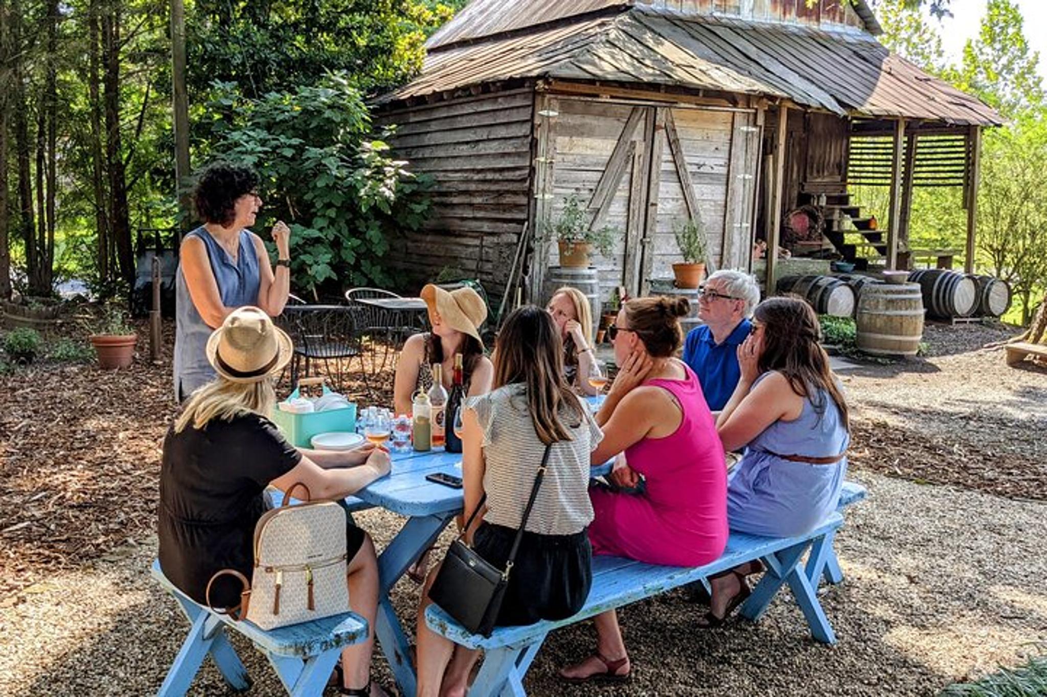 Yadkin Valley Vineyard Tour - Image 5