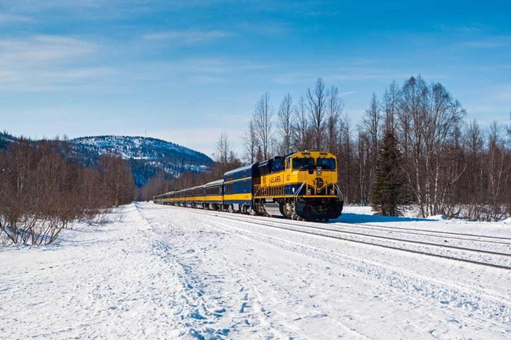 Anchorage to Fairbanks Aurora Winter Train - Image 2