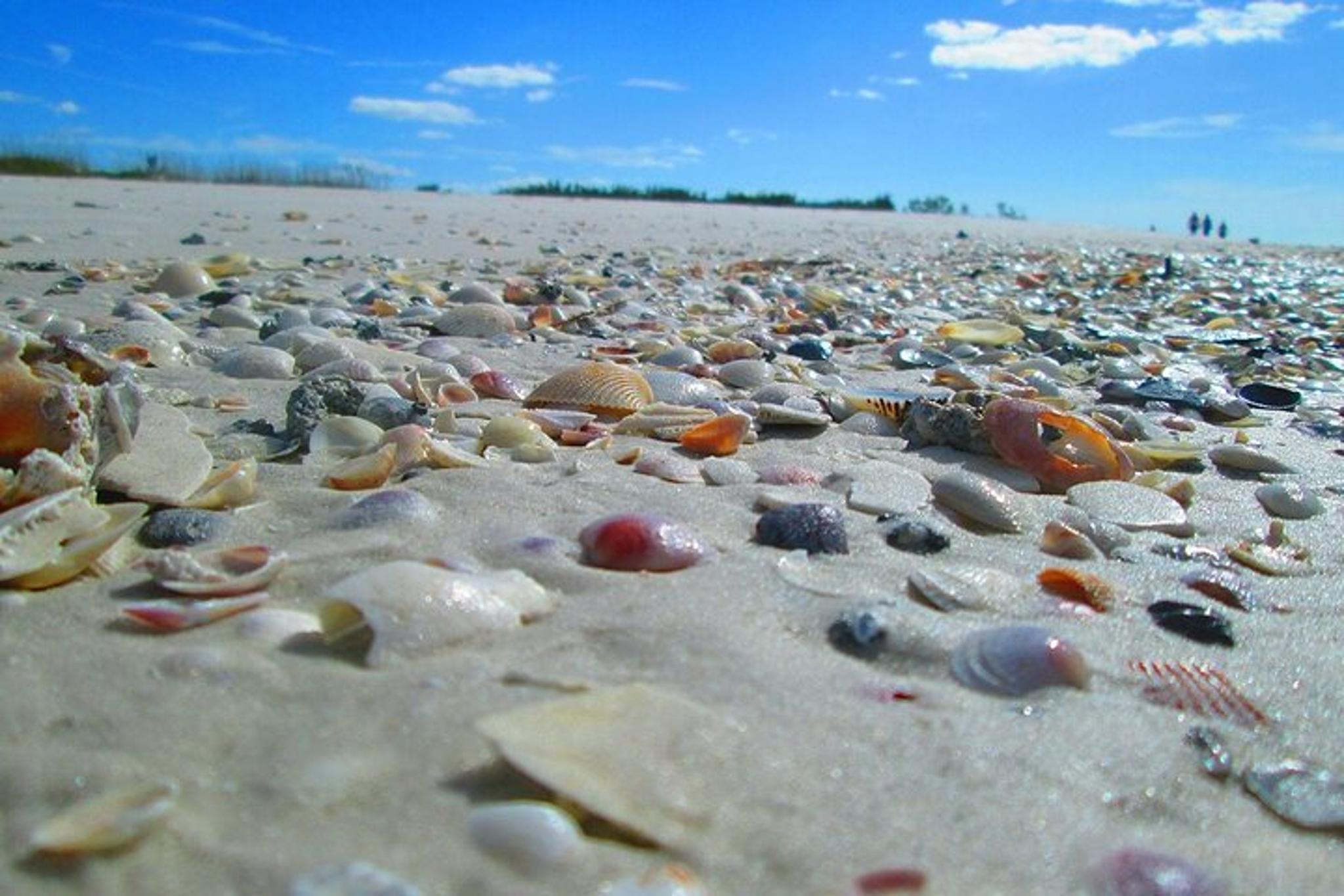 St. Petersburg Egmont Key Boat Tour 5 hr - Image 6