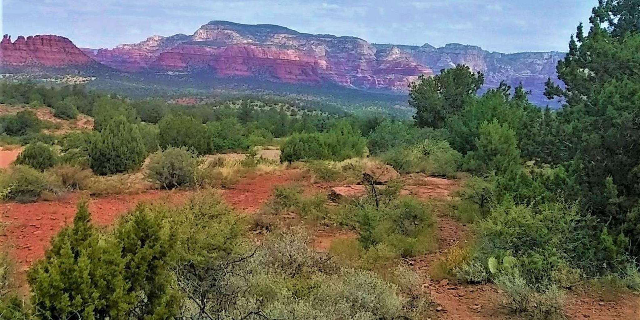 Sedona Boynton Canyon Trolley Tour - Image 4