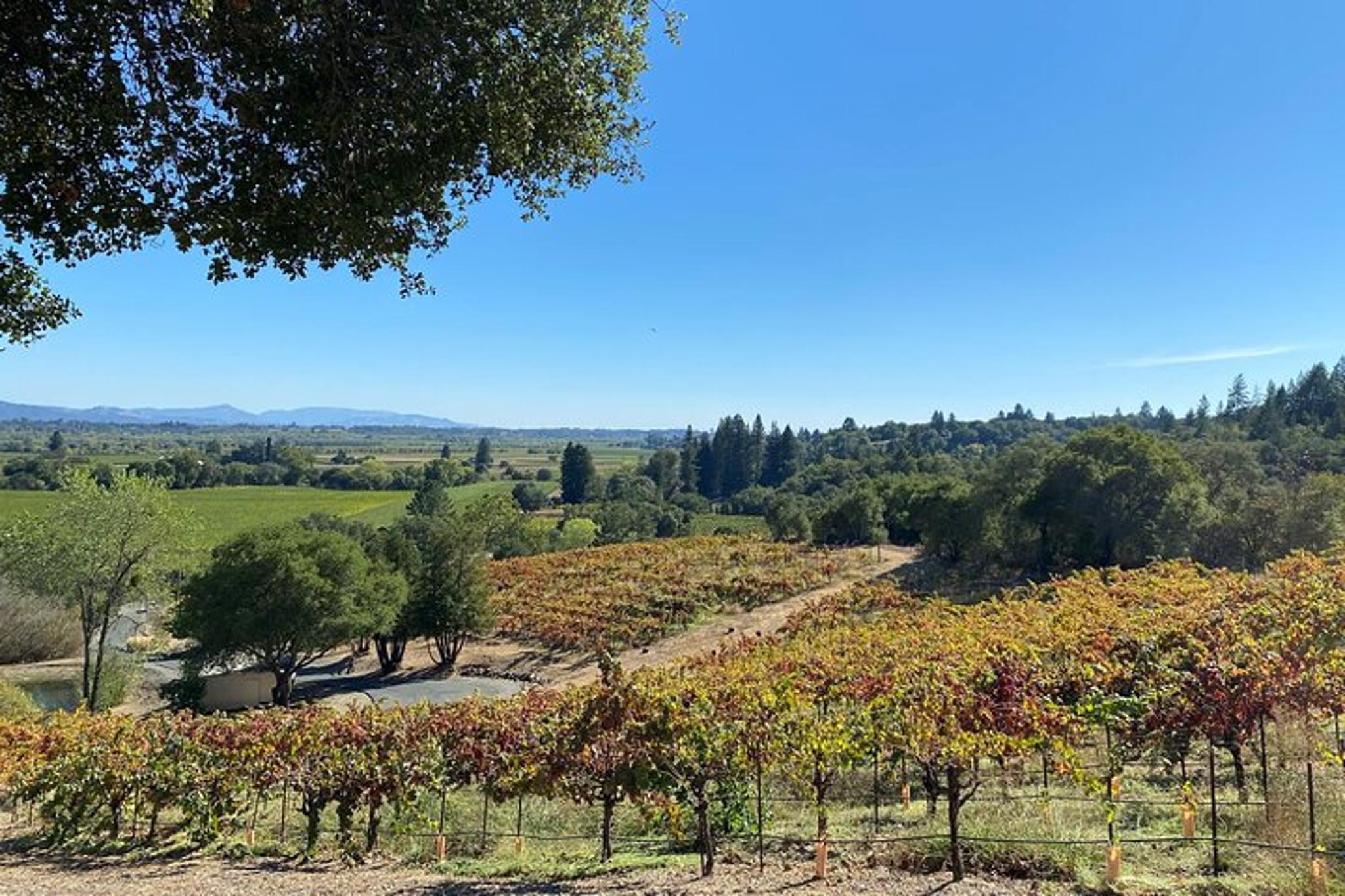 Sonoma County Group Wine Tasting Tour - Image 4
