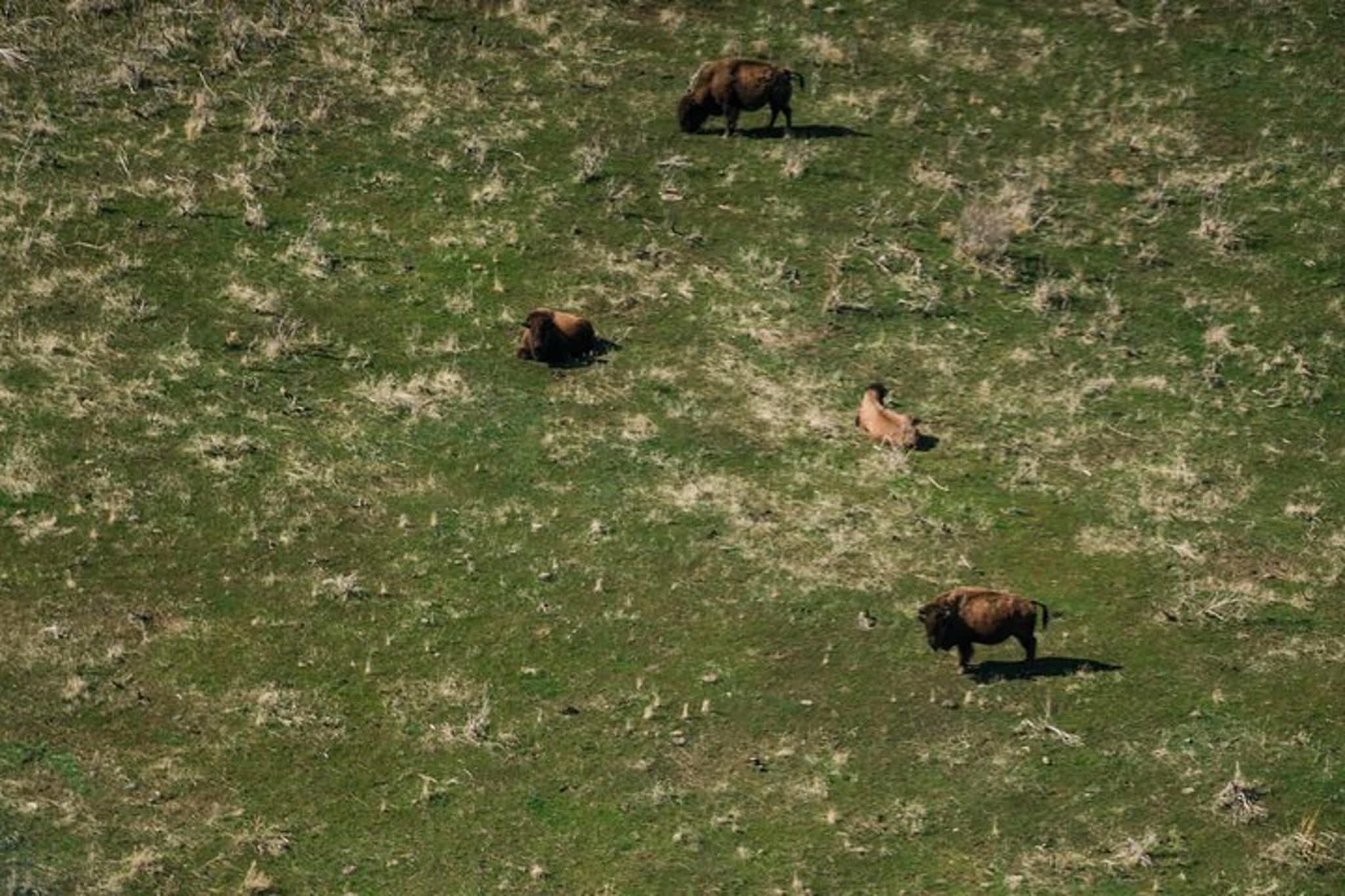Salt Lake City Flying Tour Over Great Salt Lake - Image 4