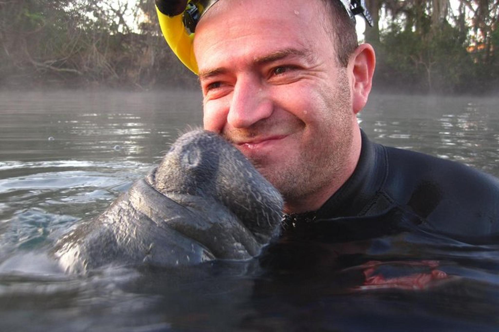 Crystal River Manatee Snorkel Tour - Image 4