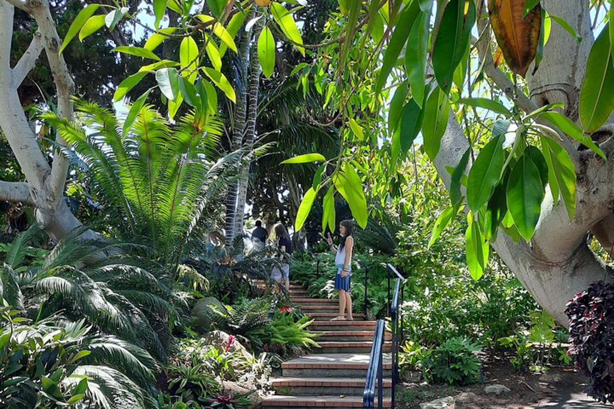 San Diego Electric Bike Tour - Image 3