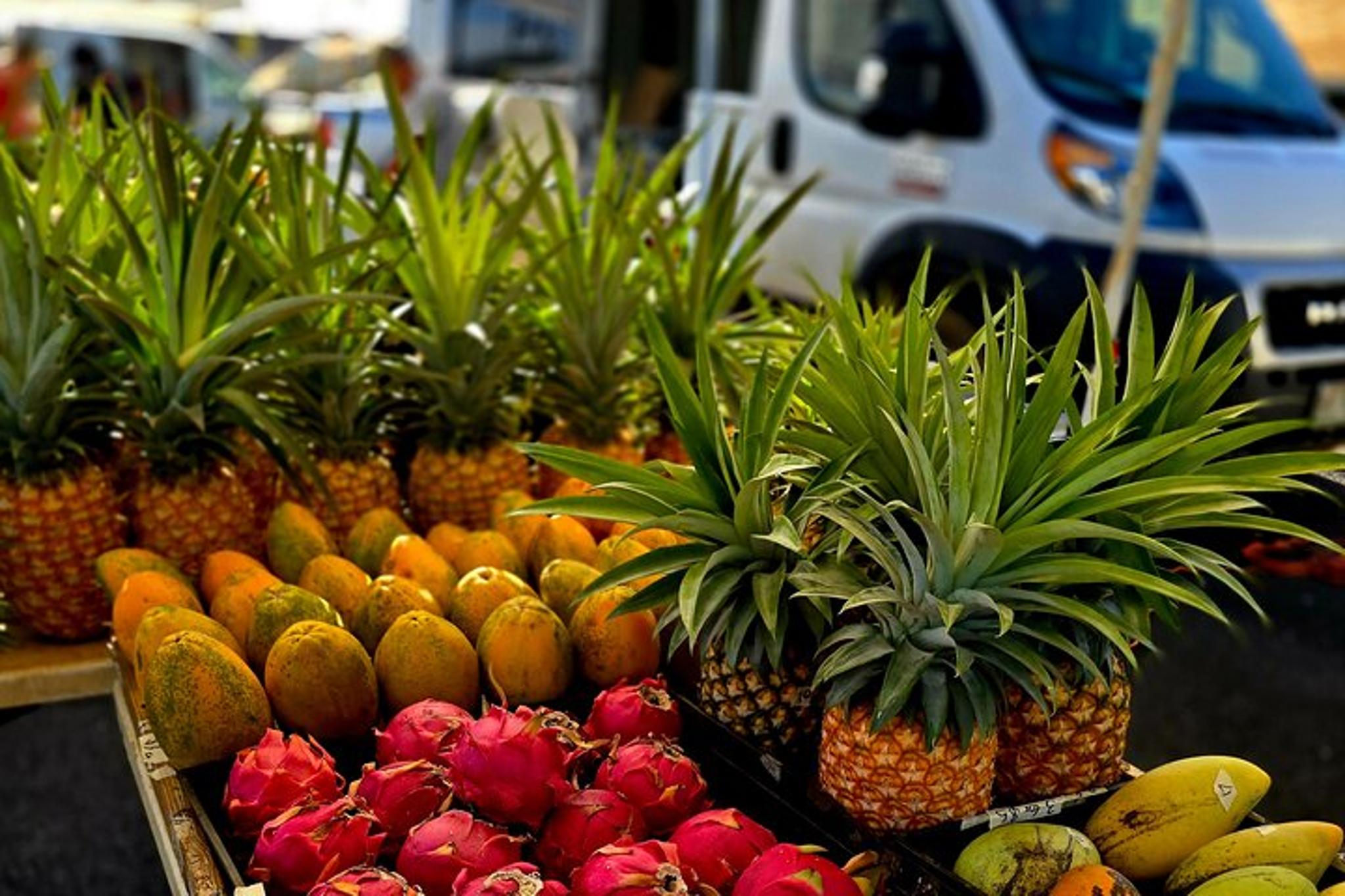 Kauai Hop-On Hop-Off Bus Tour 1 hr - Image 6