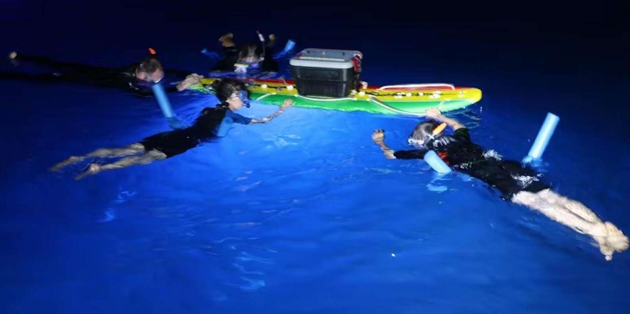 Kona Manta Ray Night Snorkel - Image 4
