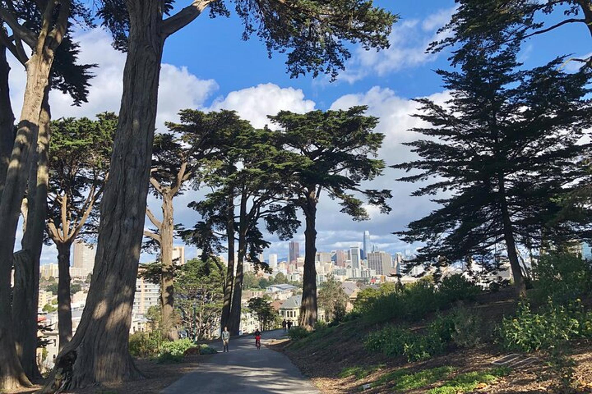 San Francisco Guided Tour - Image 6