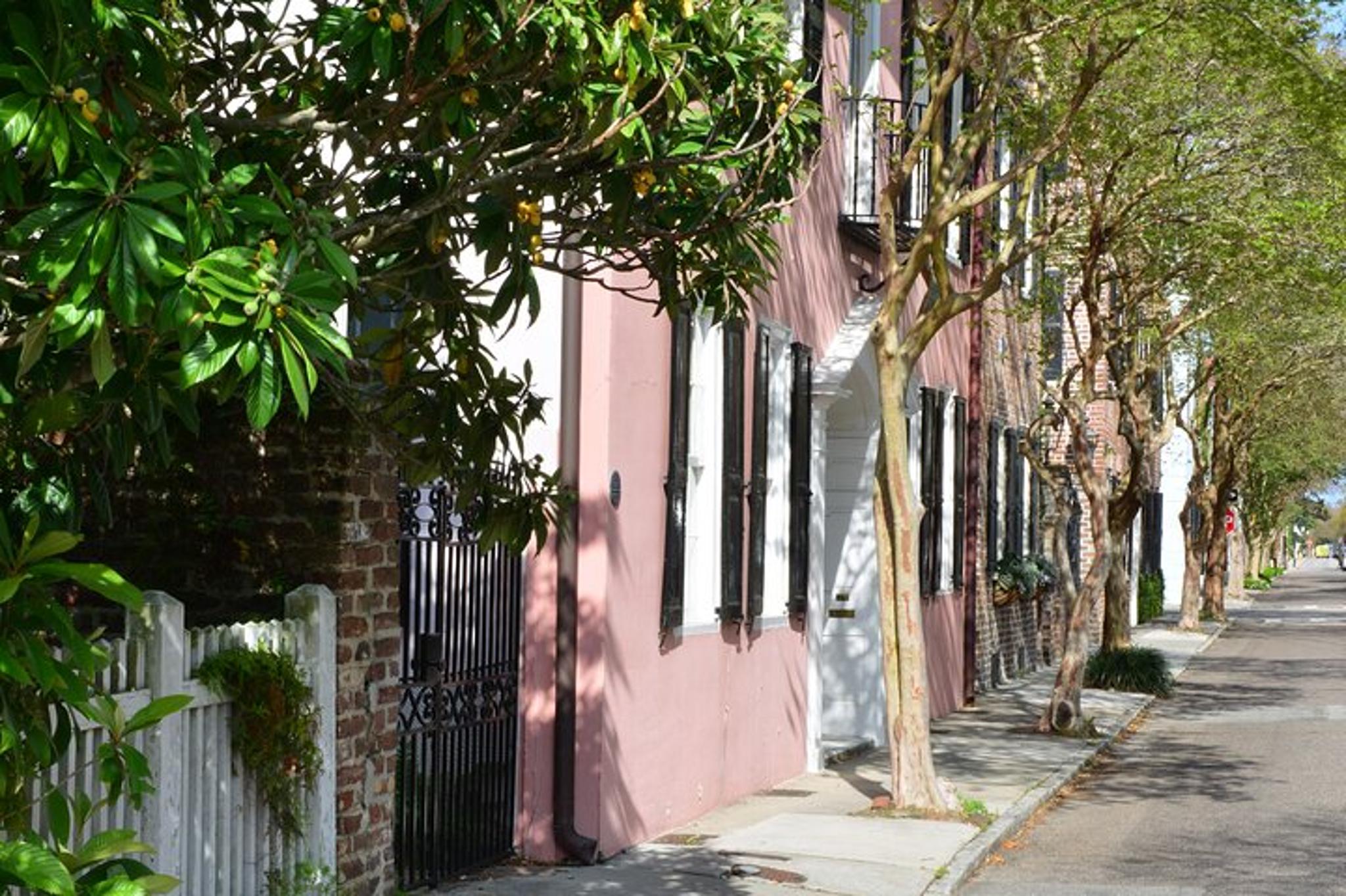 Charleston Architecture and History Tour - Image 6