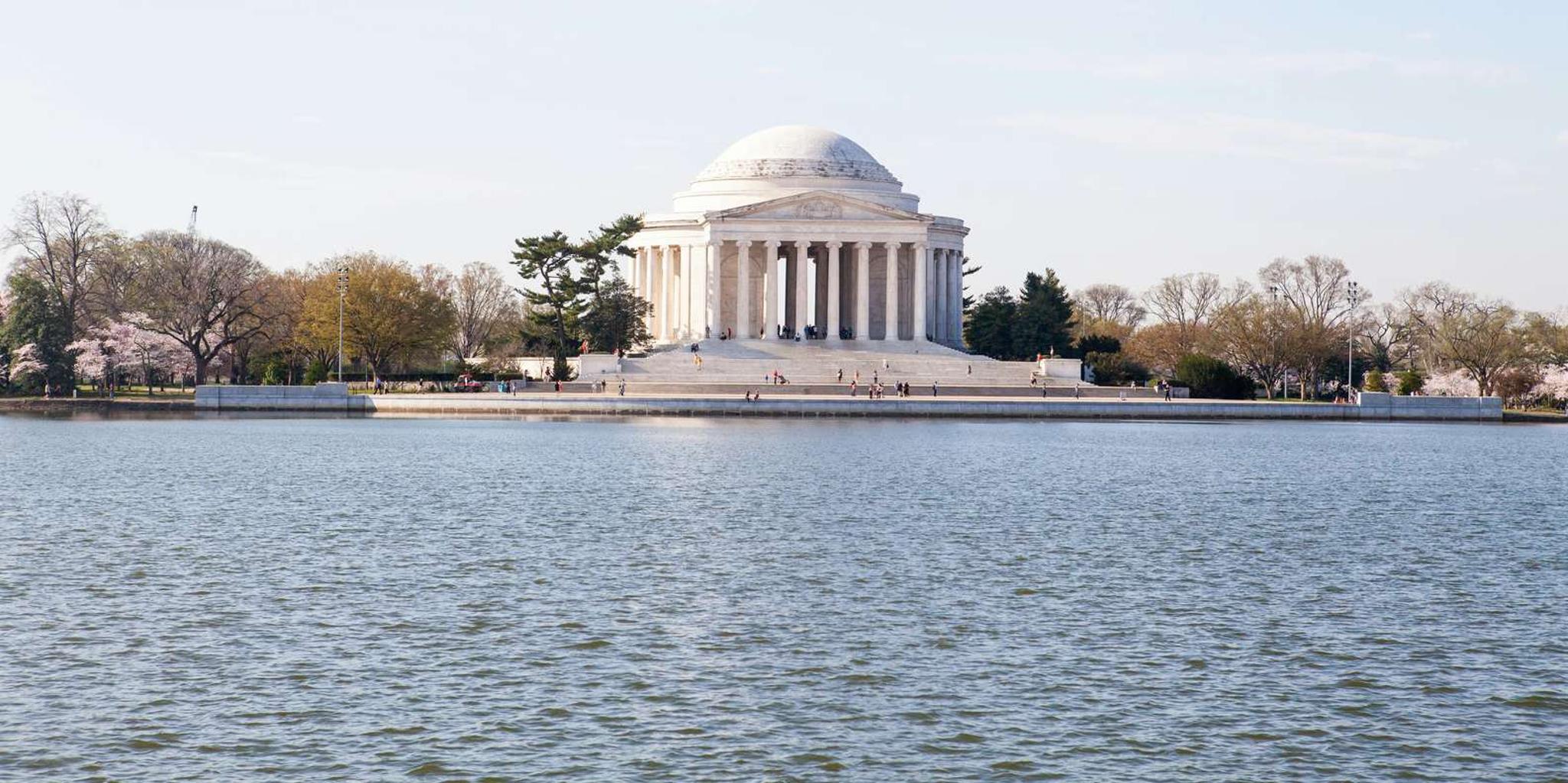 Washington DC Monuments & History Cherry Blossom Tour 2 hr - Image 2