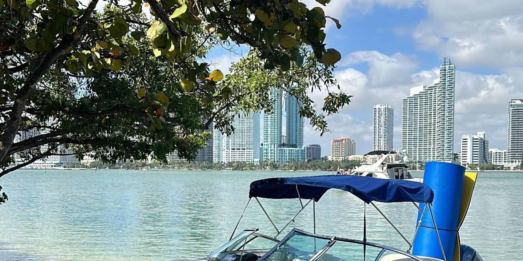 Miami Celebrity Mansions & Private Island Charter - Image 5